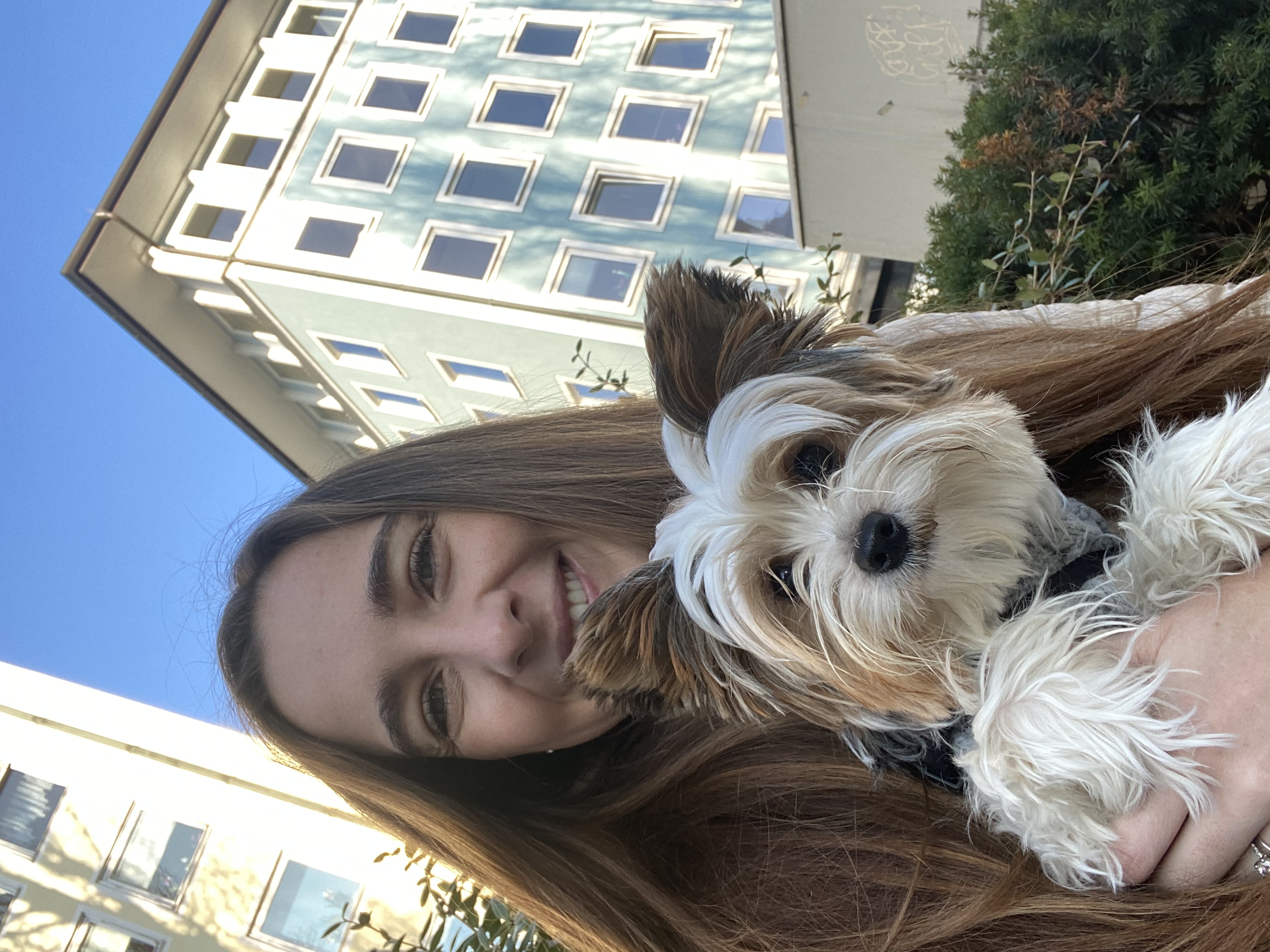 image-8
