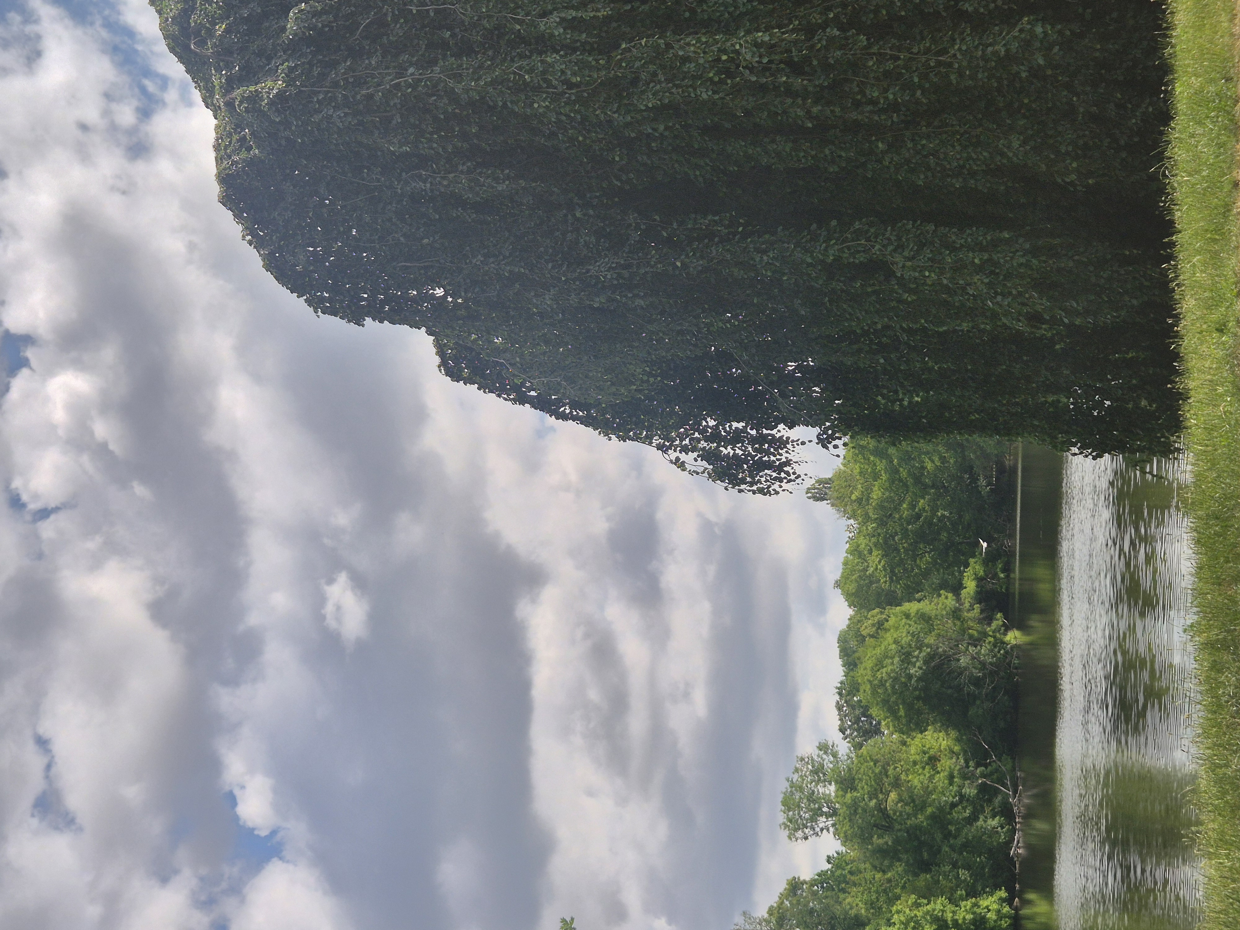 image-17