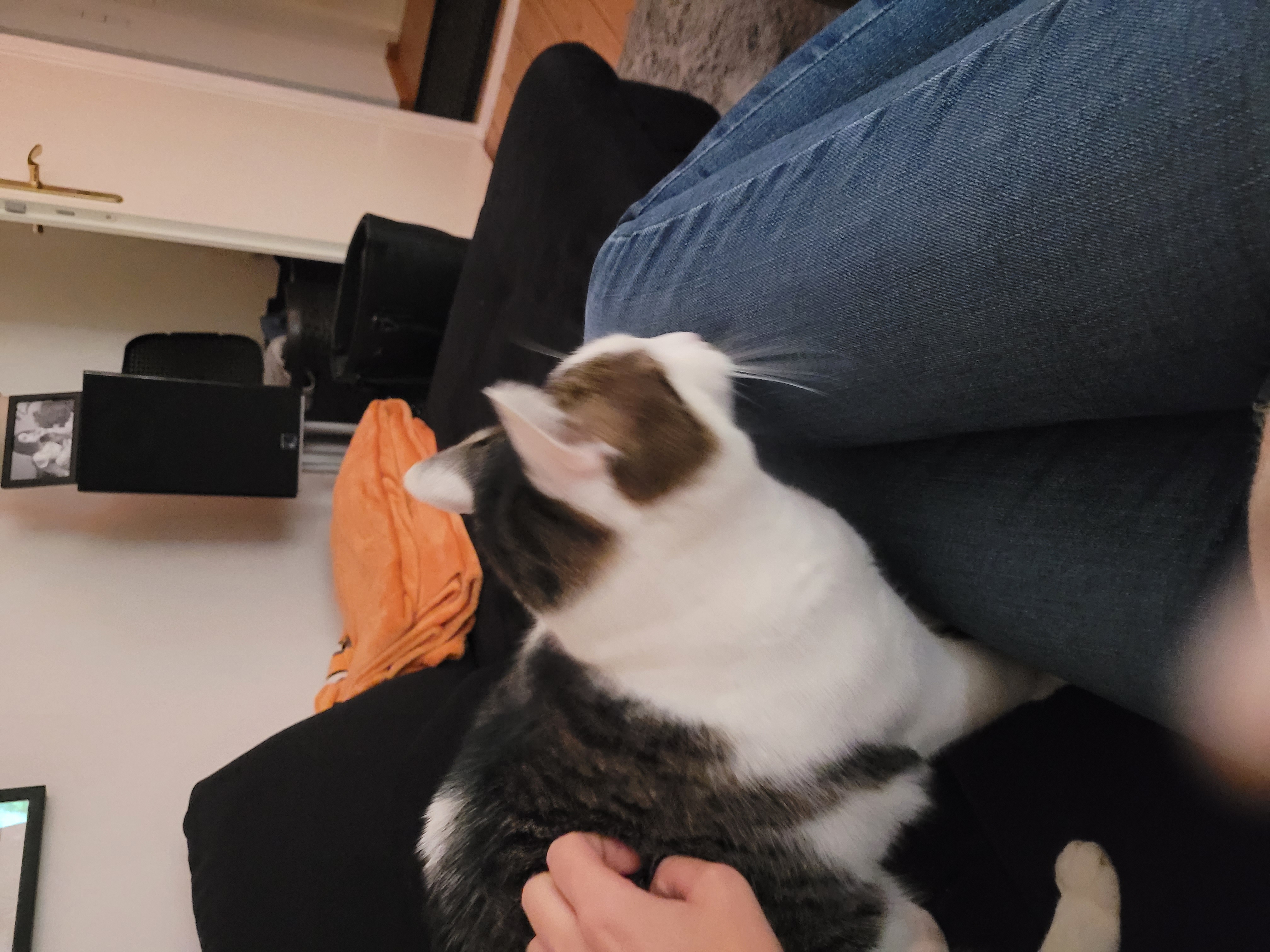 image-11