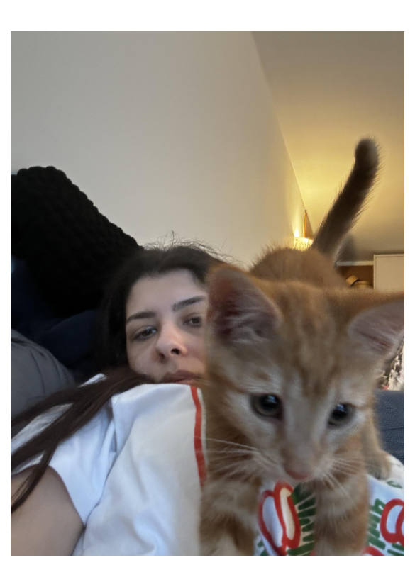 image-13