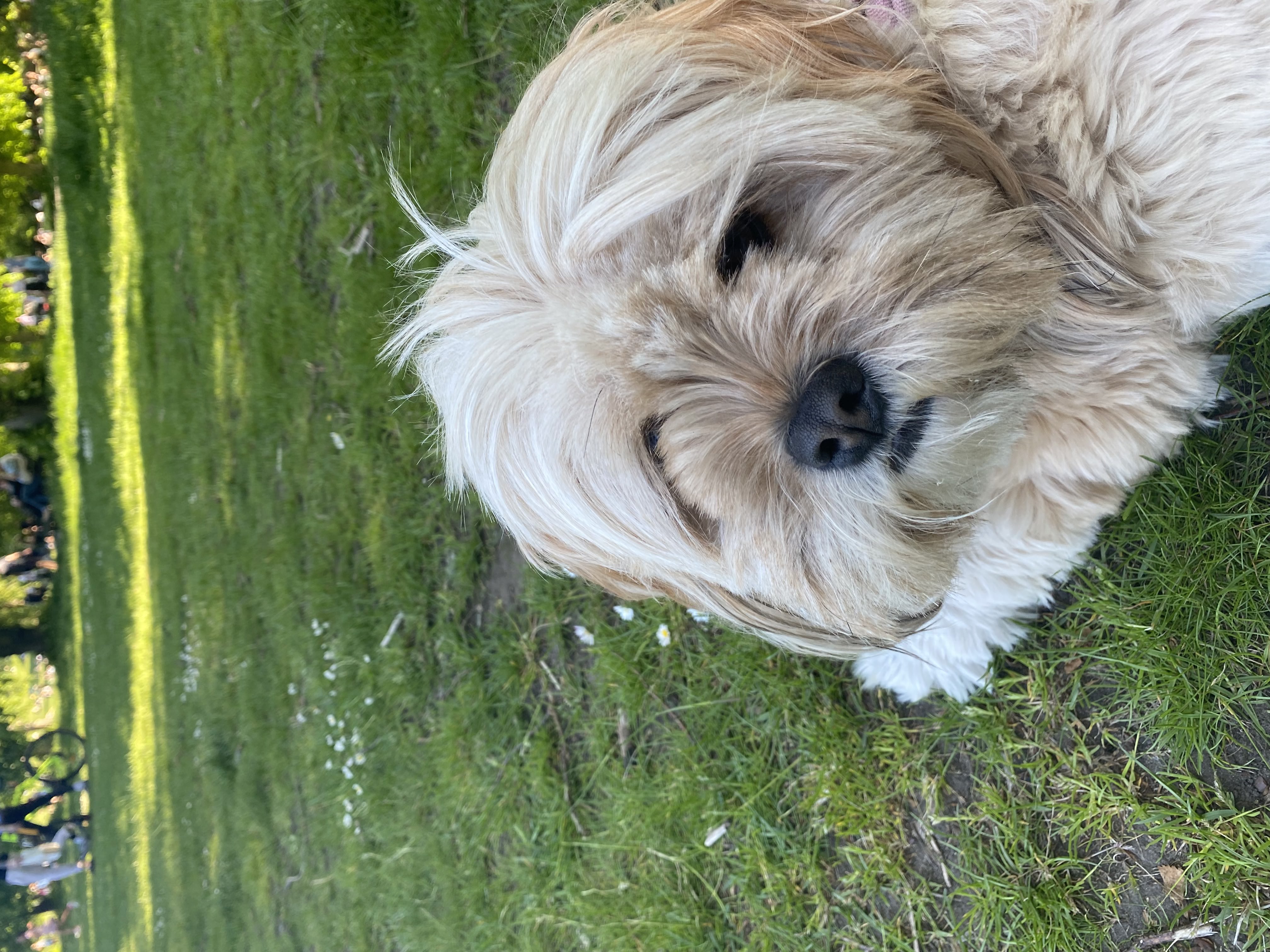image-8