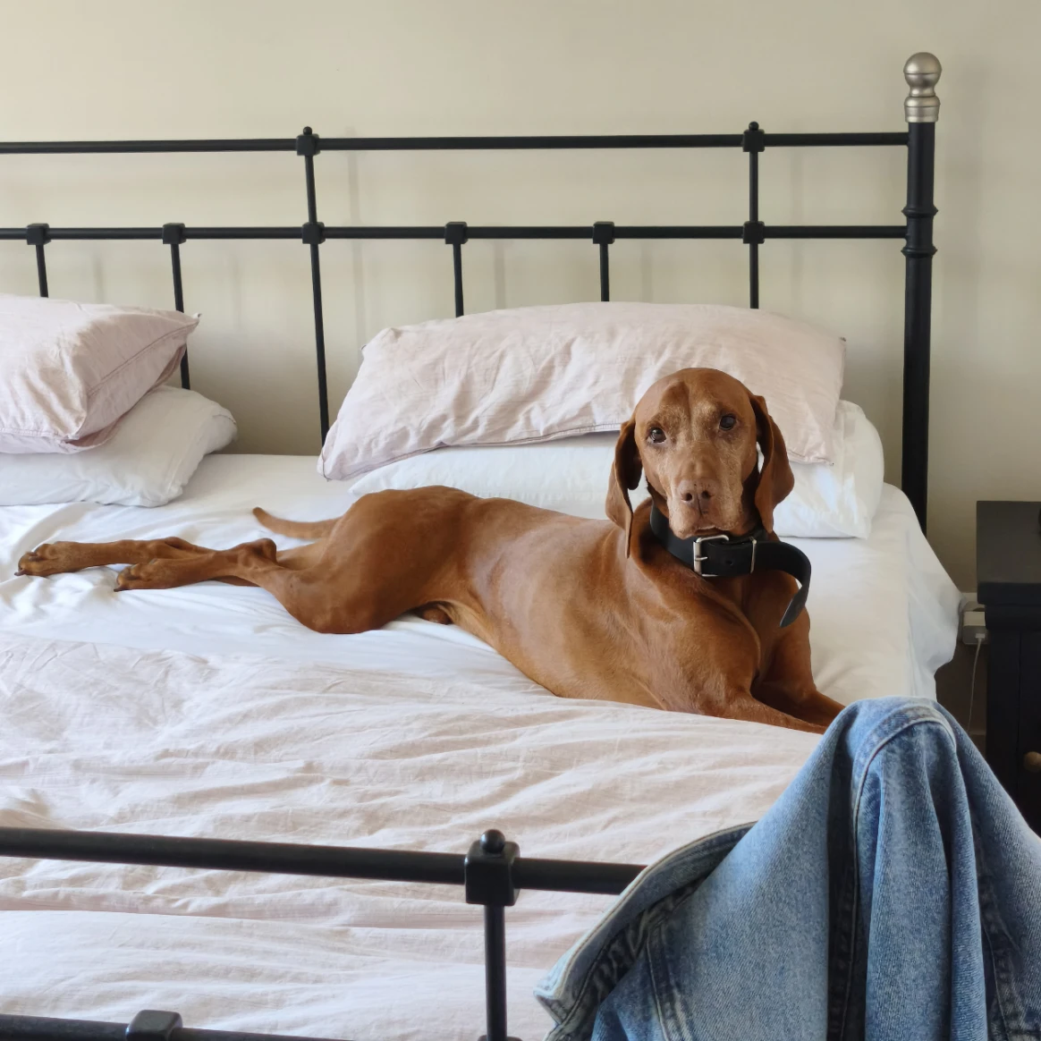 Huxley 
