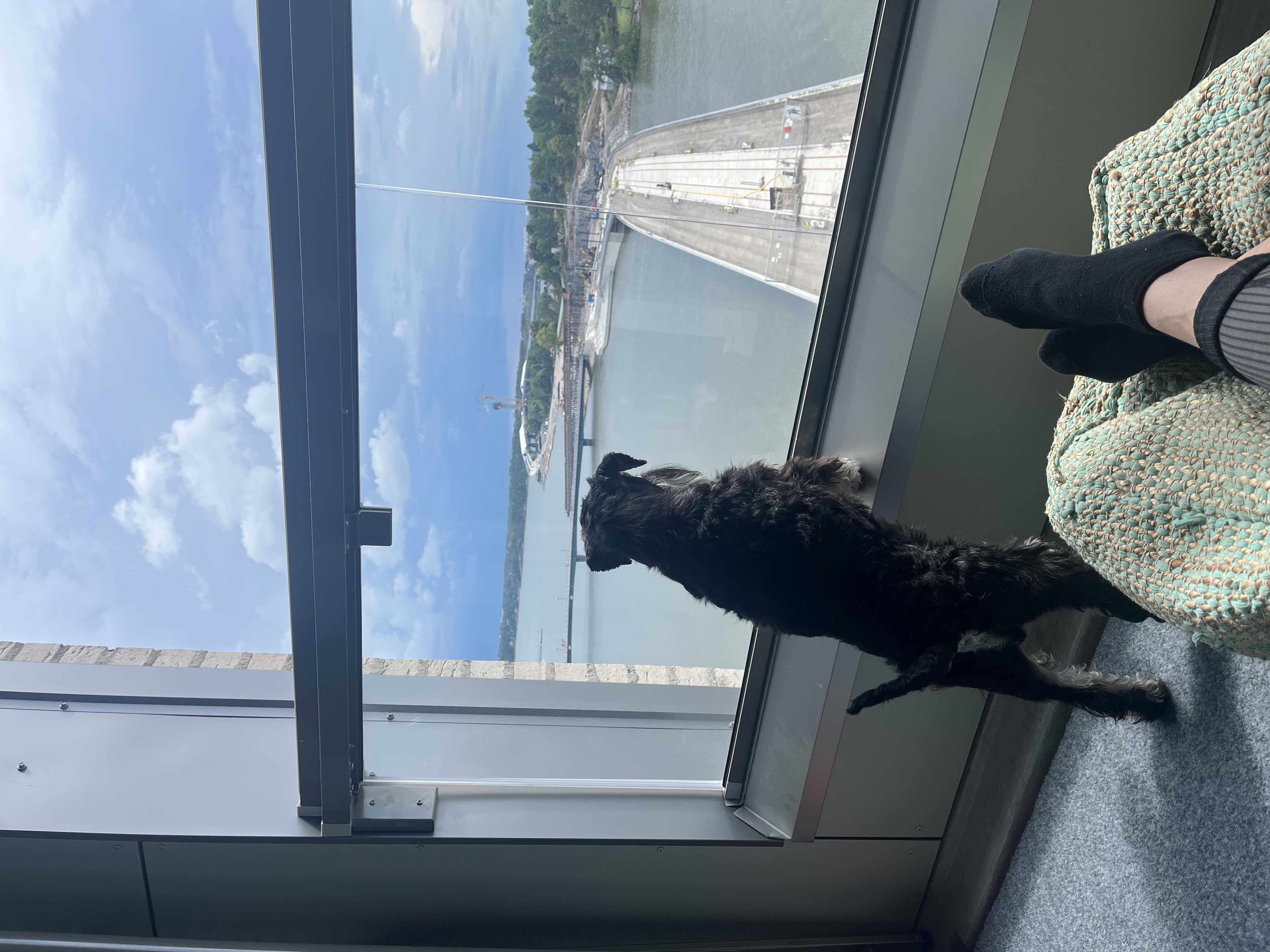 image-12