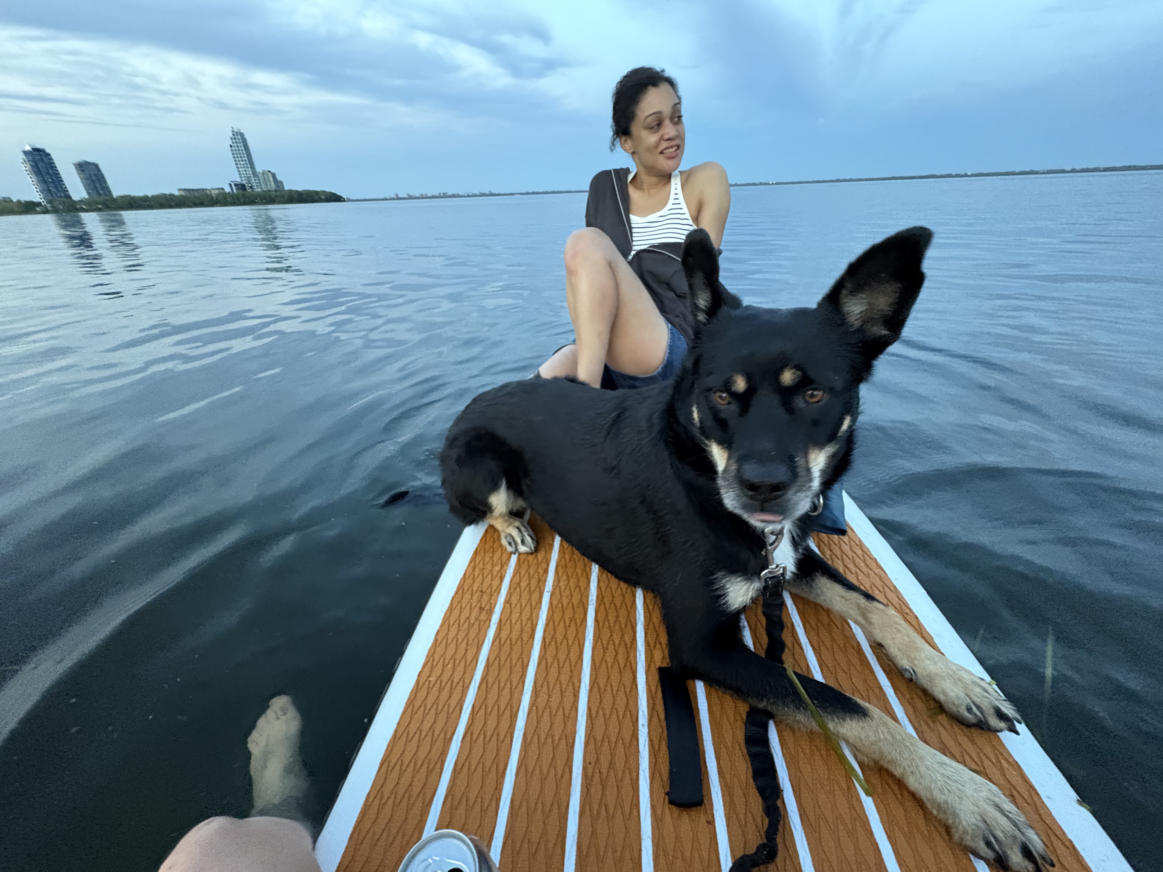 image-12