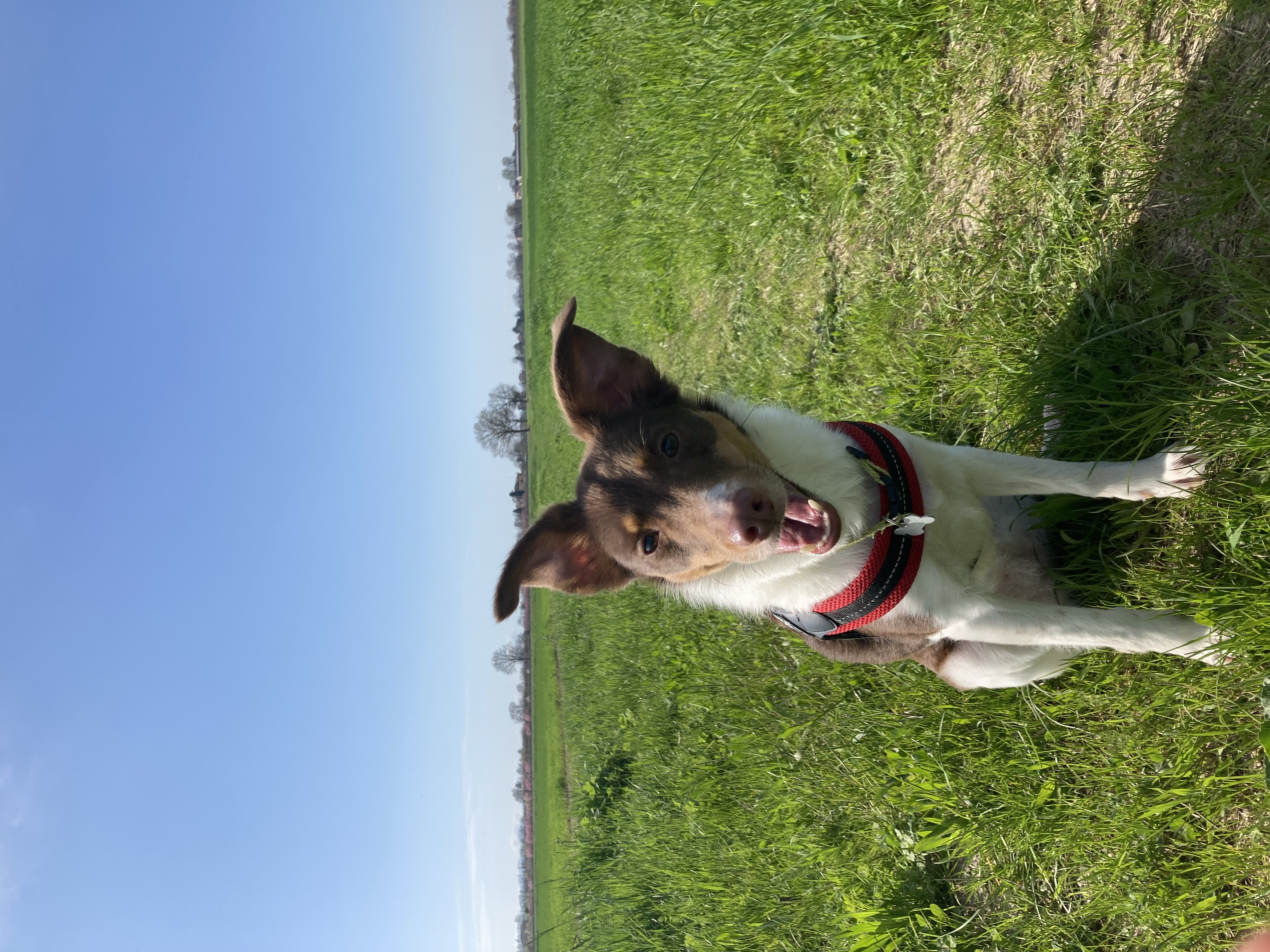 image-6