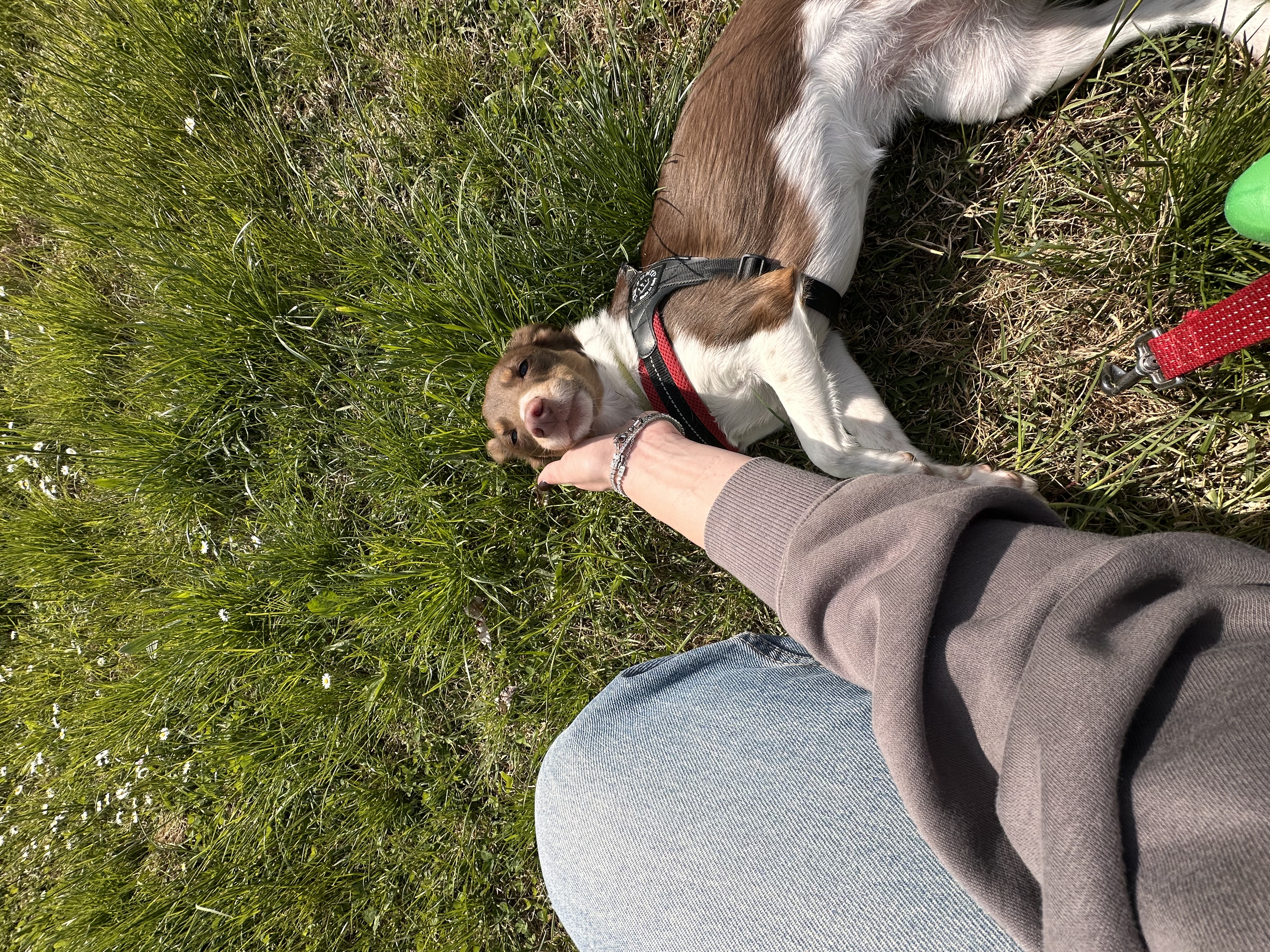 image-7