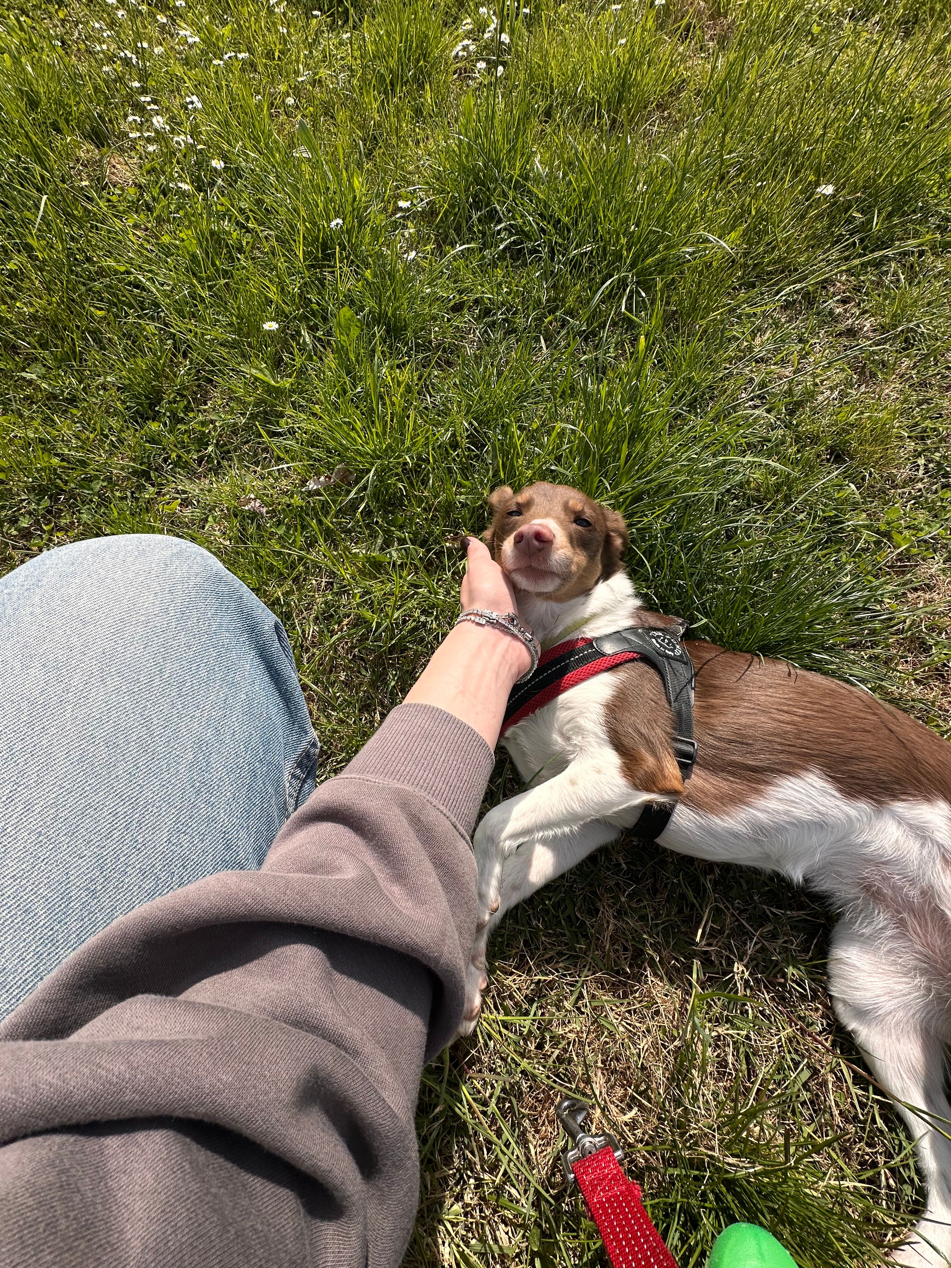 image-7