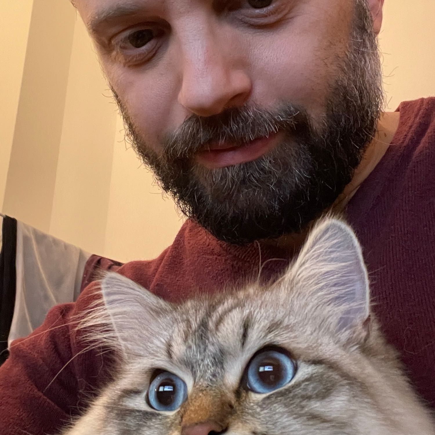 Vittorio