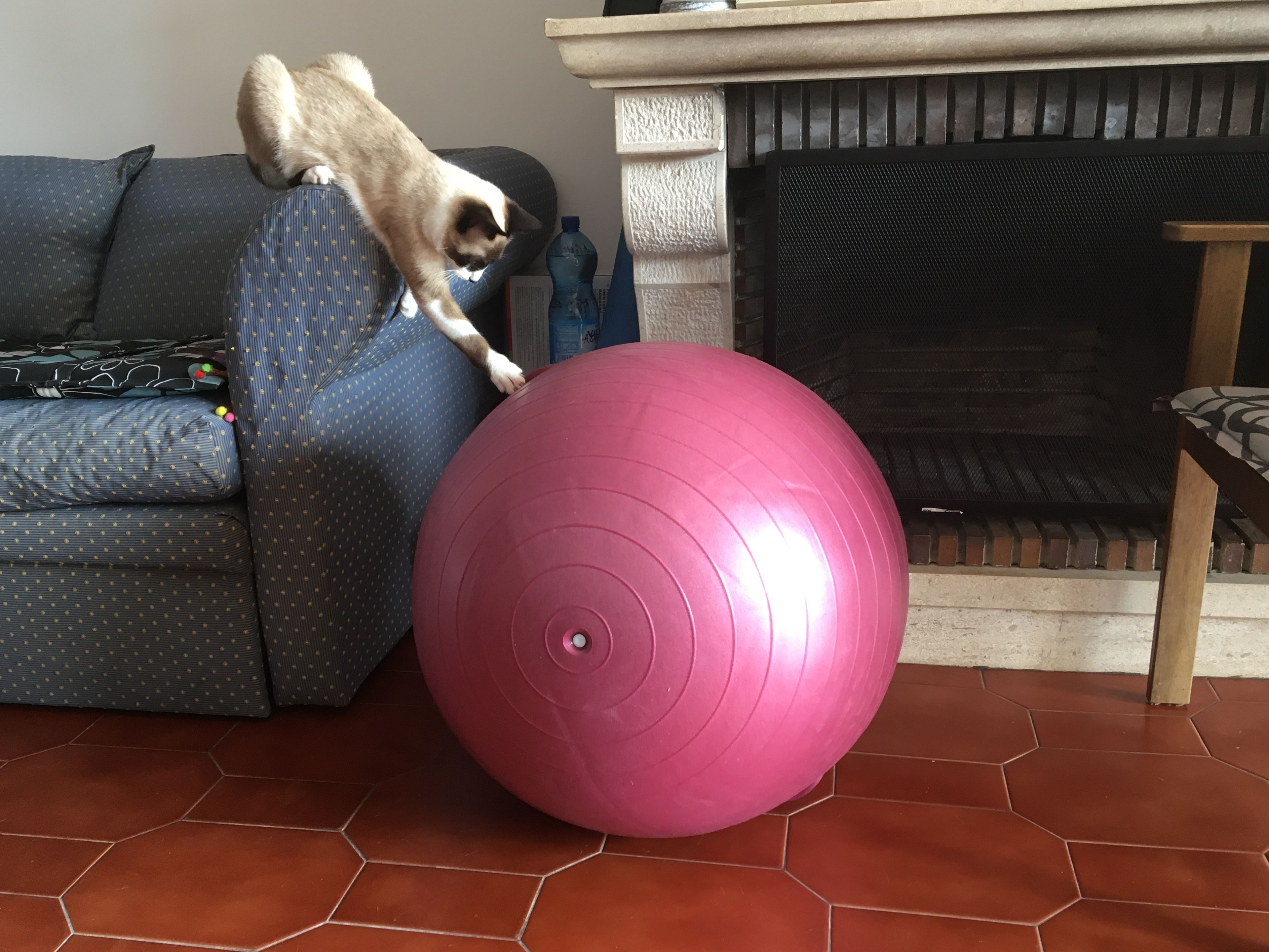 image-7