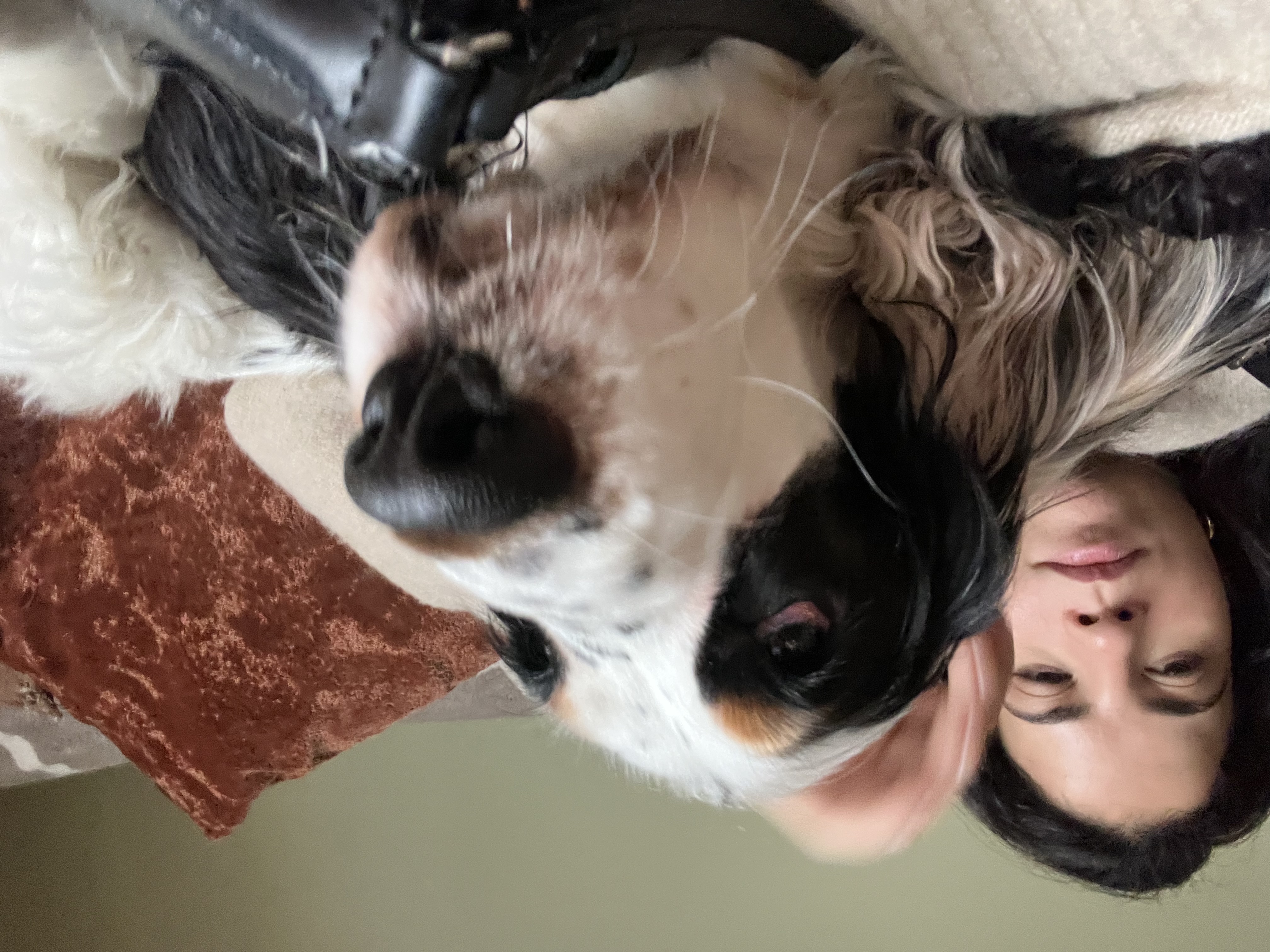 image-11
