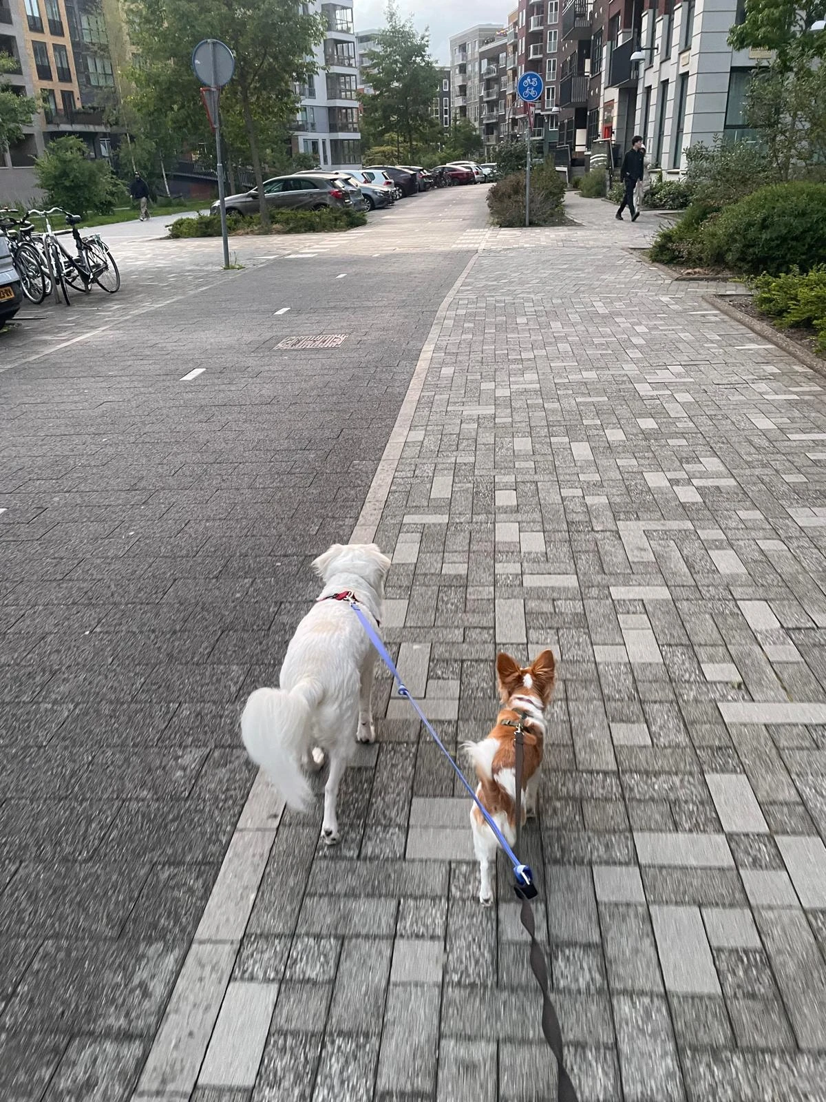 image-14