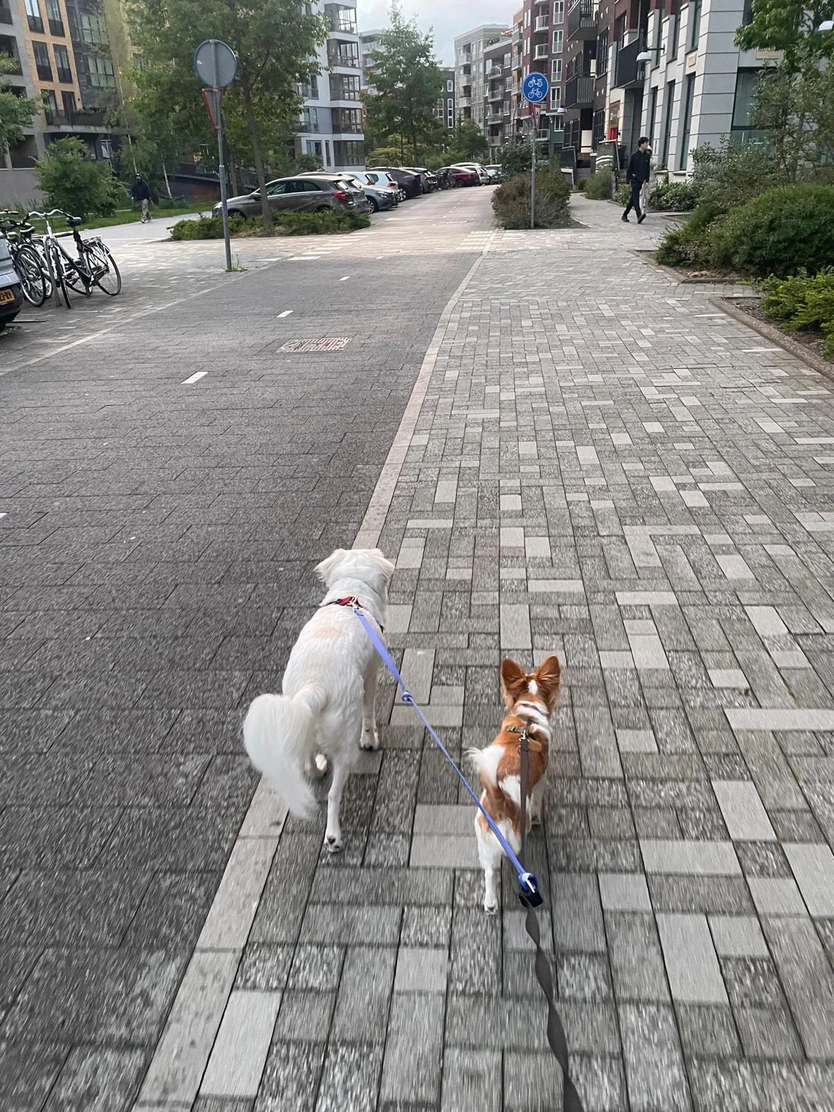 image-14