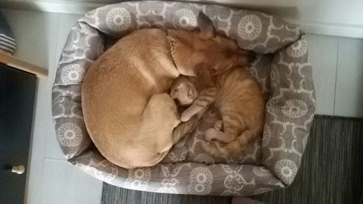 image-6