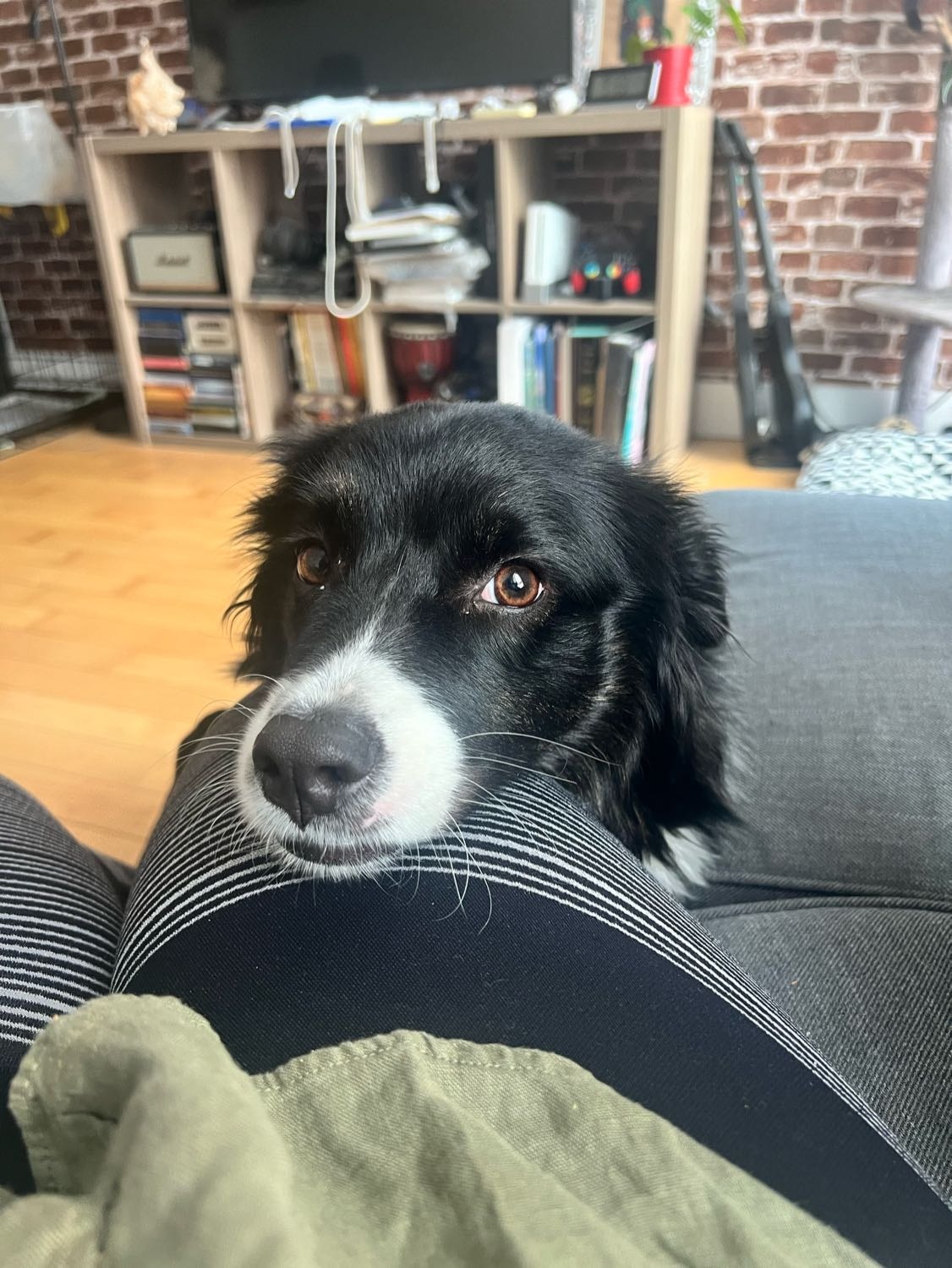 image-3