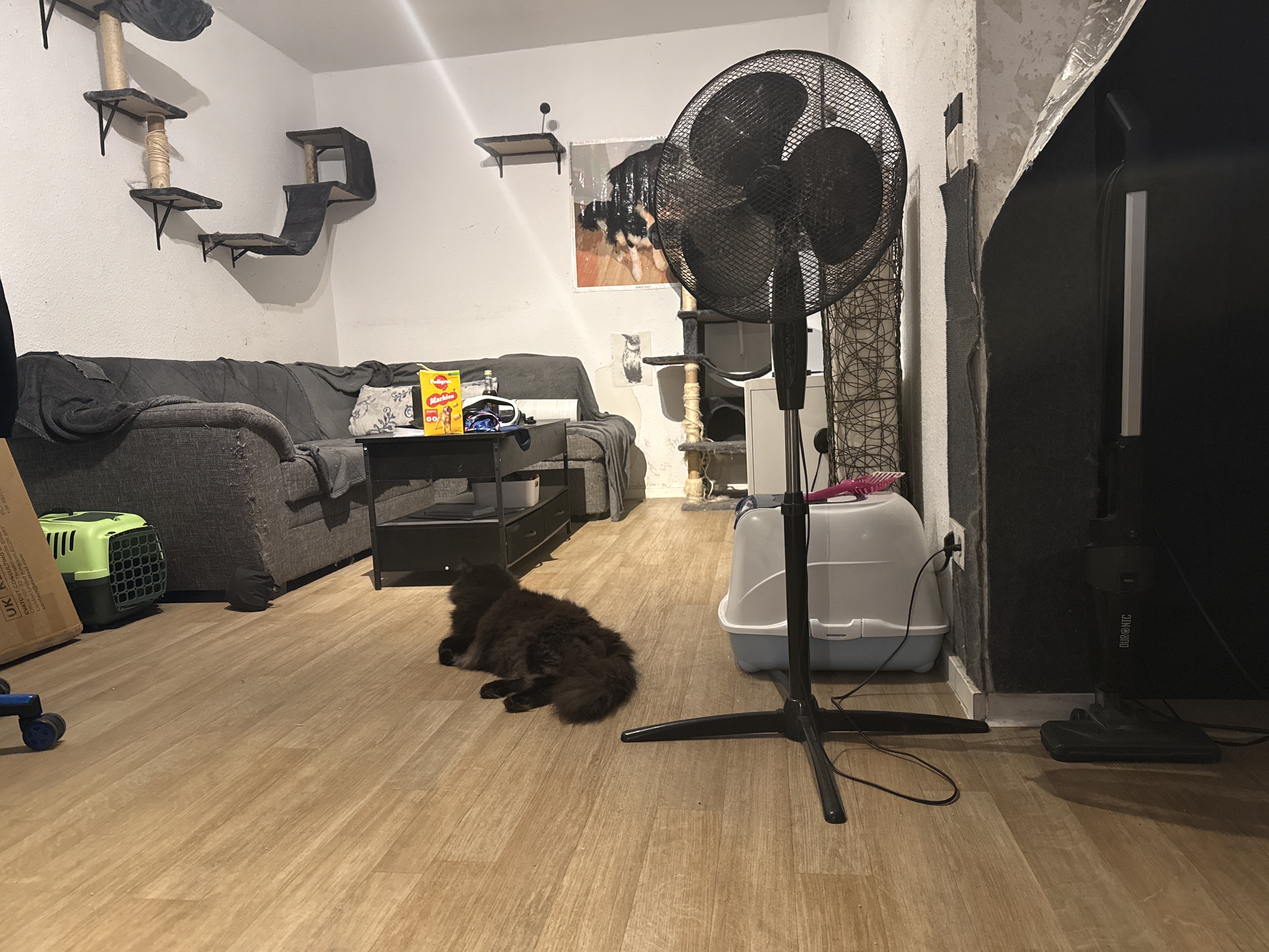 image-19