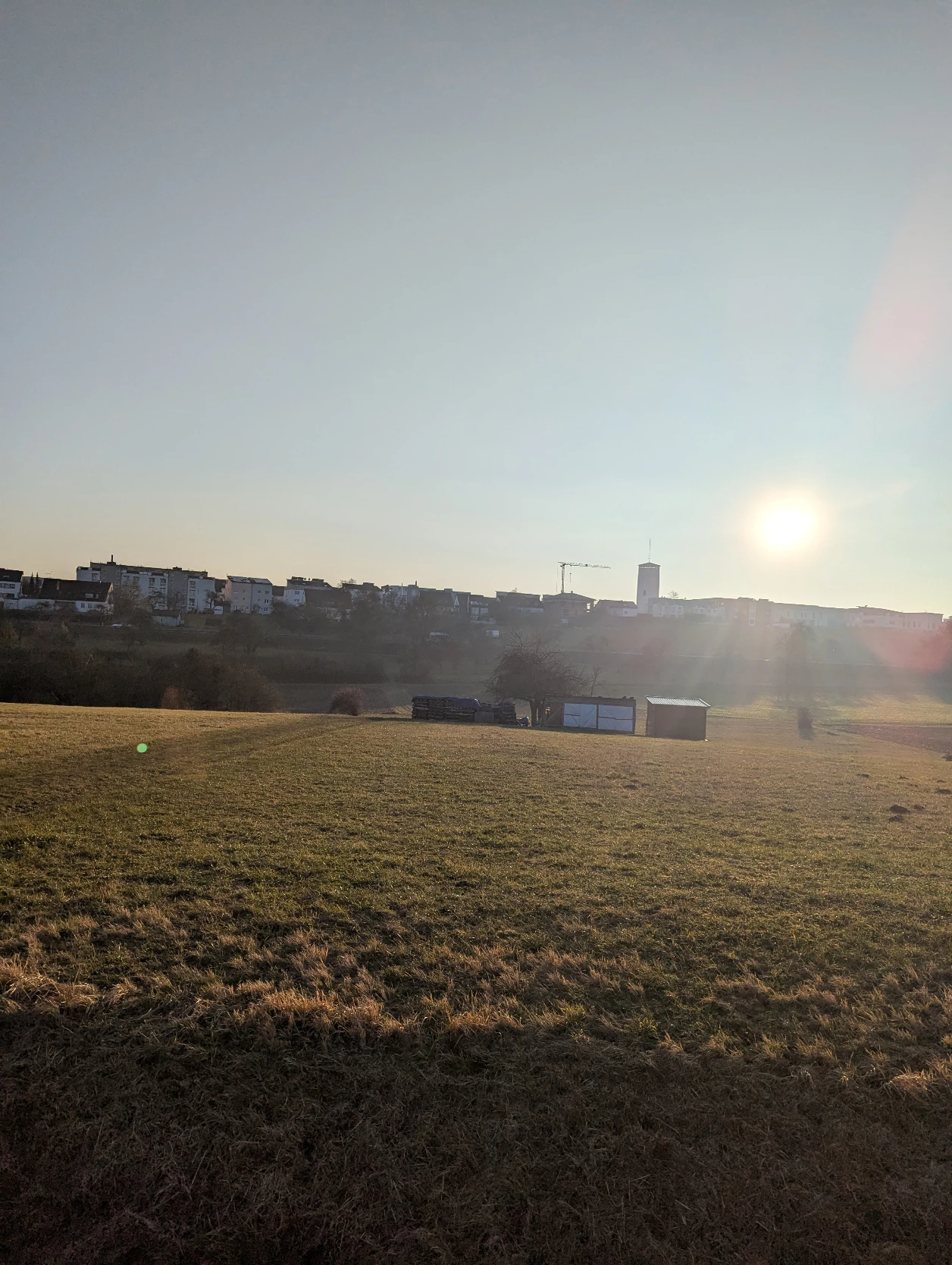 image-6
