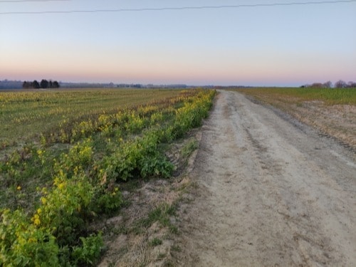 image-6