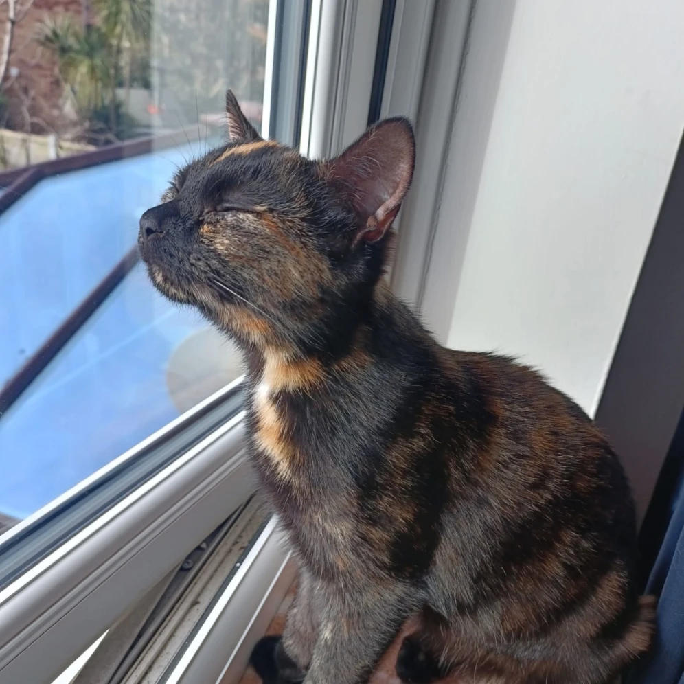 Elphie