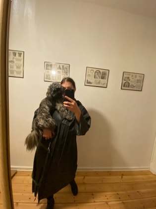 image-11