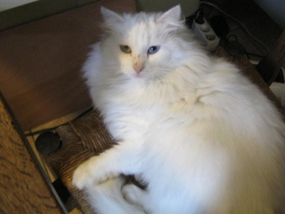 image-4