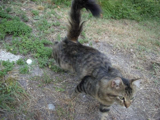 image-6