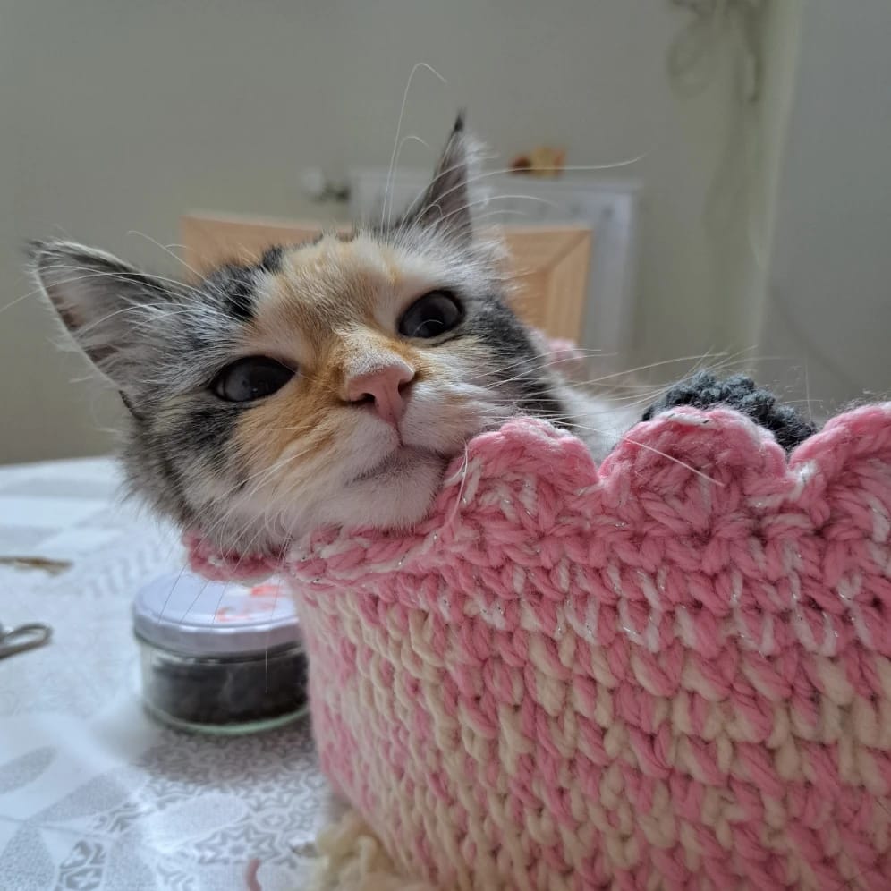 Choupette