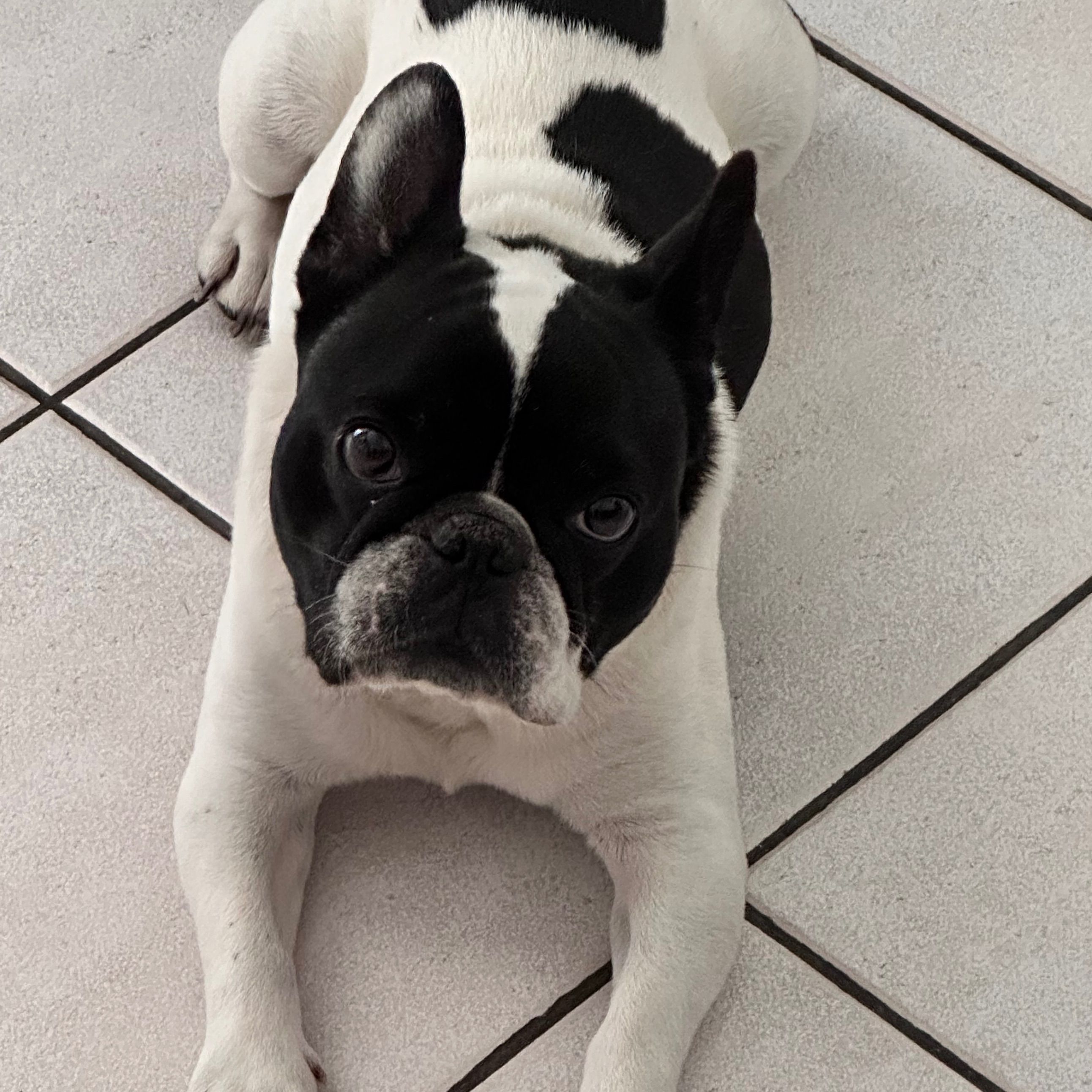 Oliver