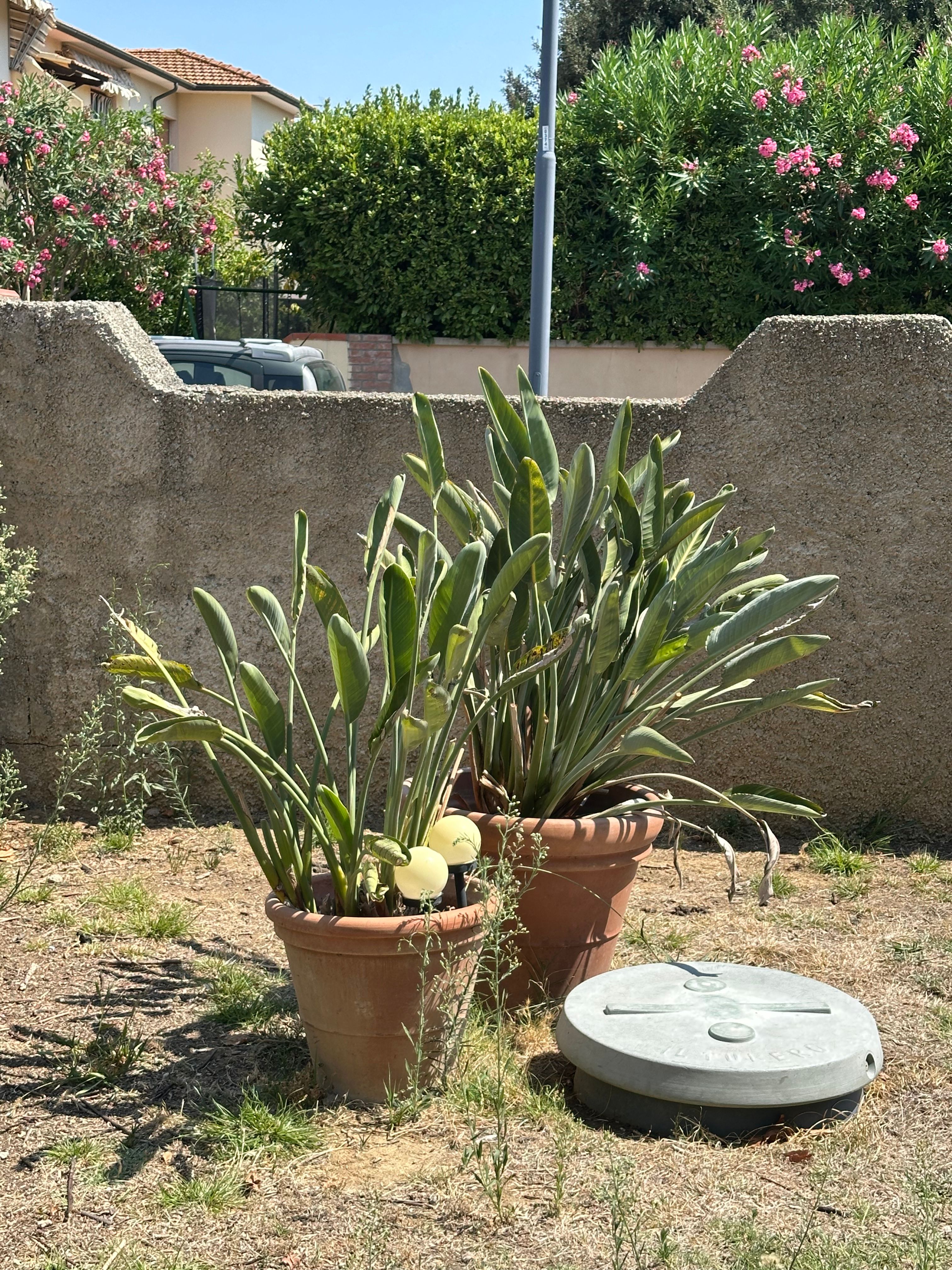 image-20