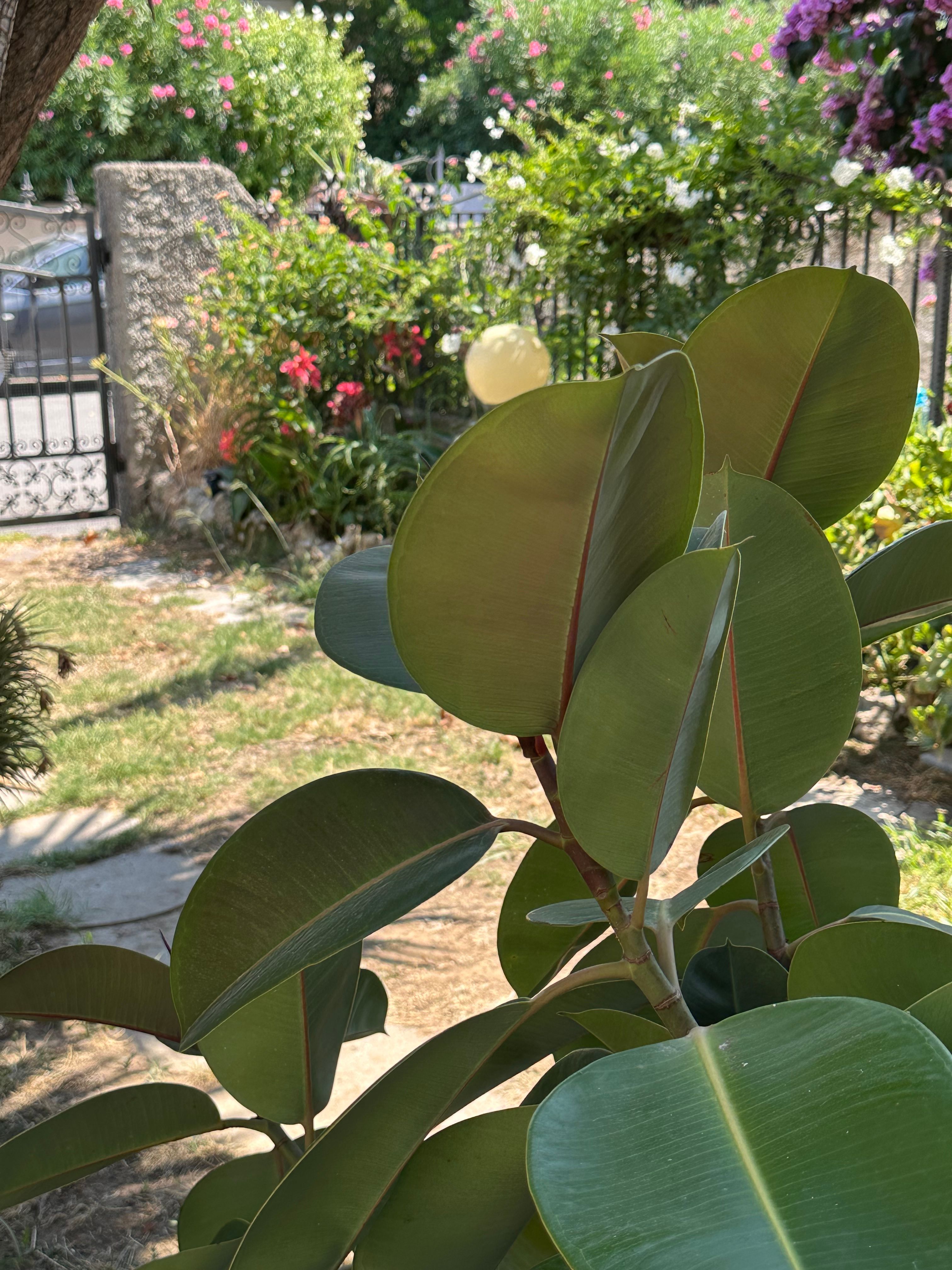 image-22