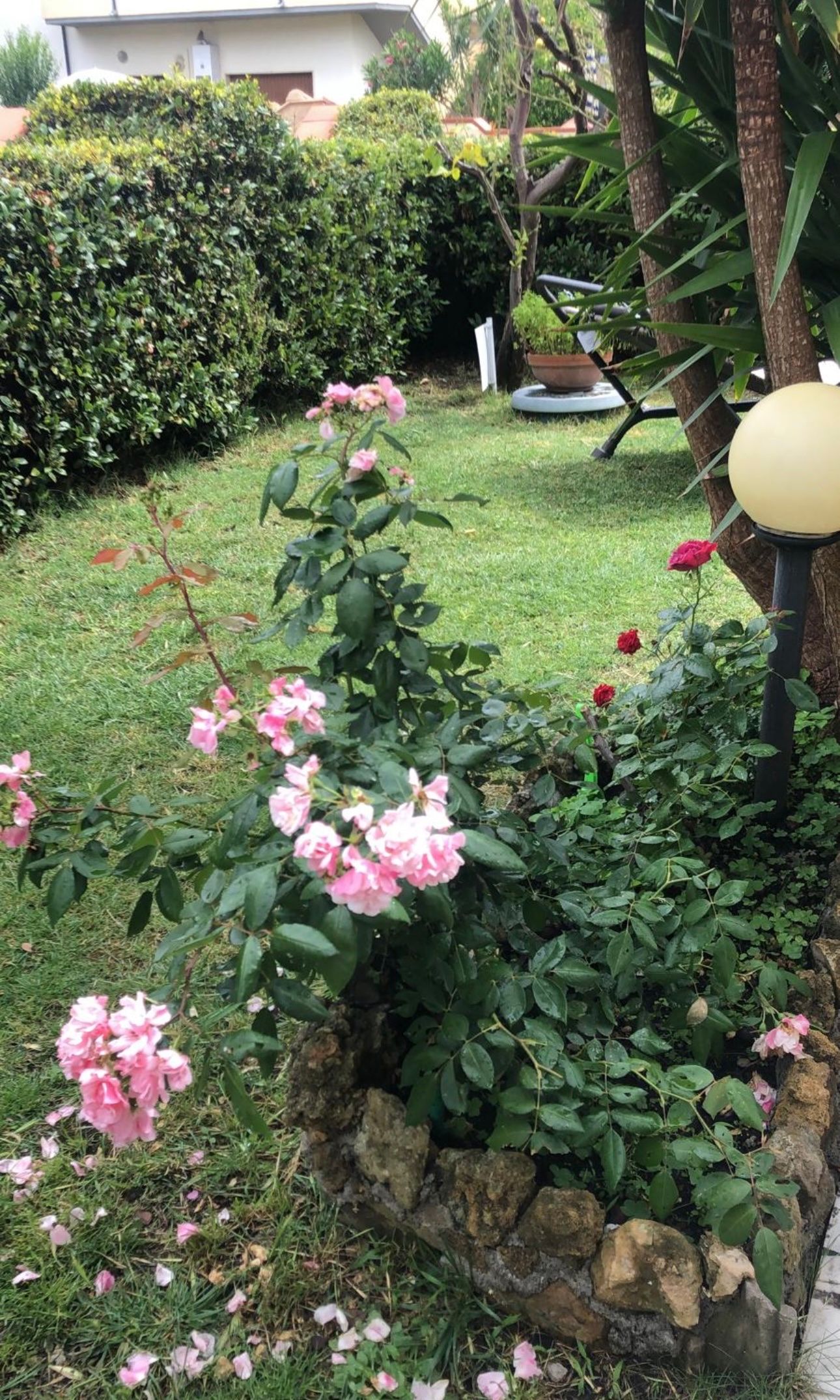image-17