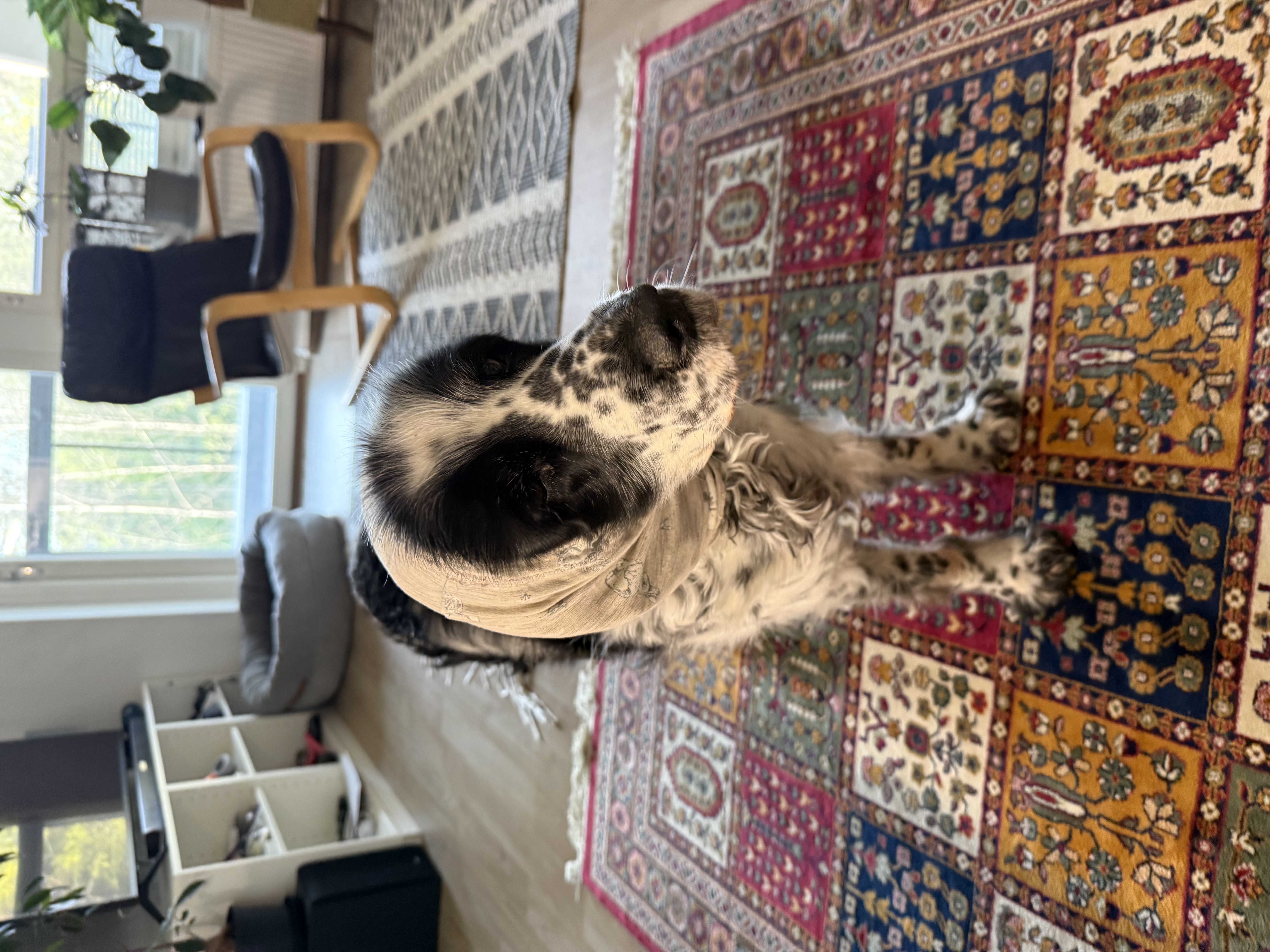image-12