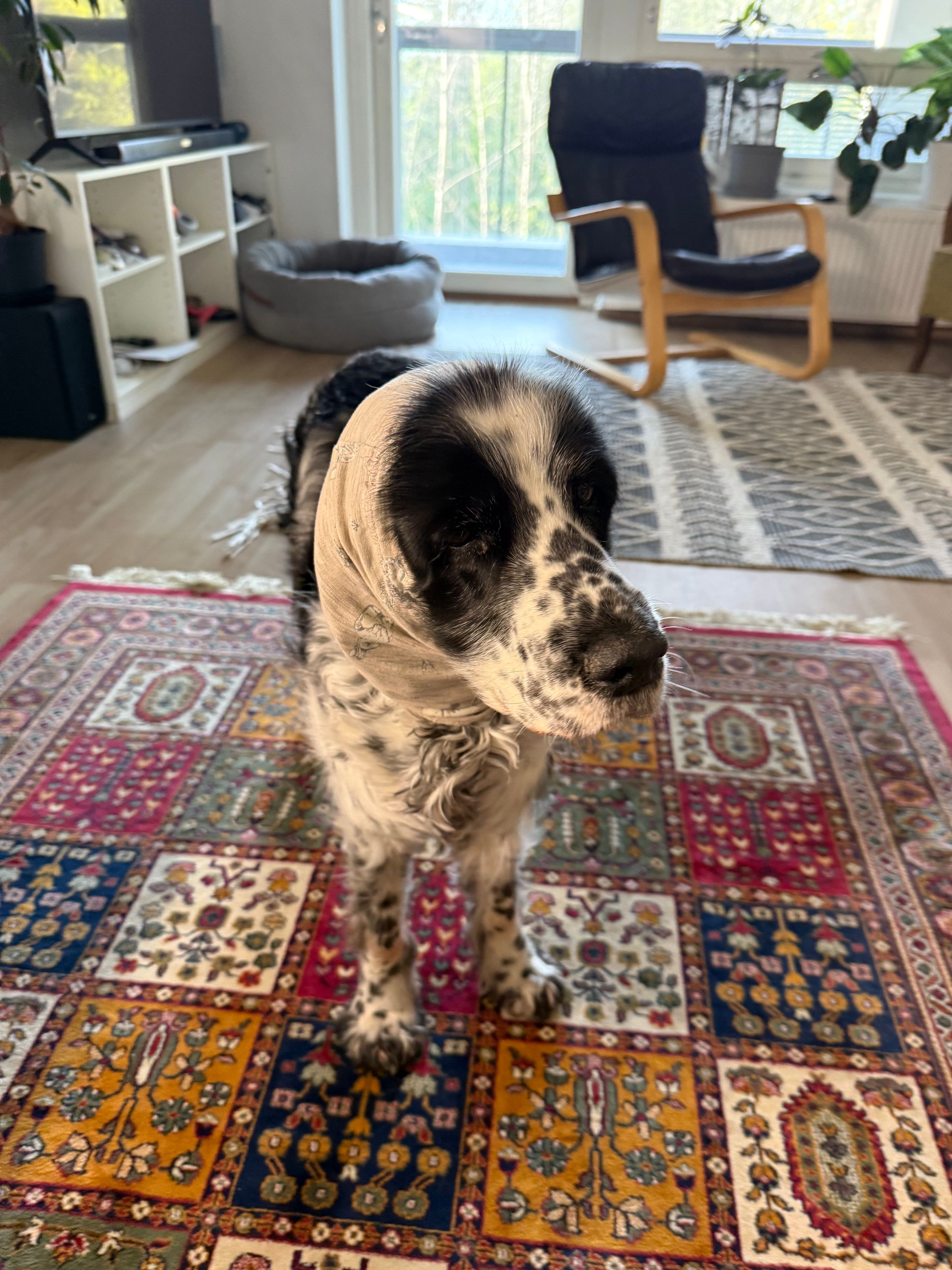 image-12
