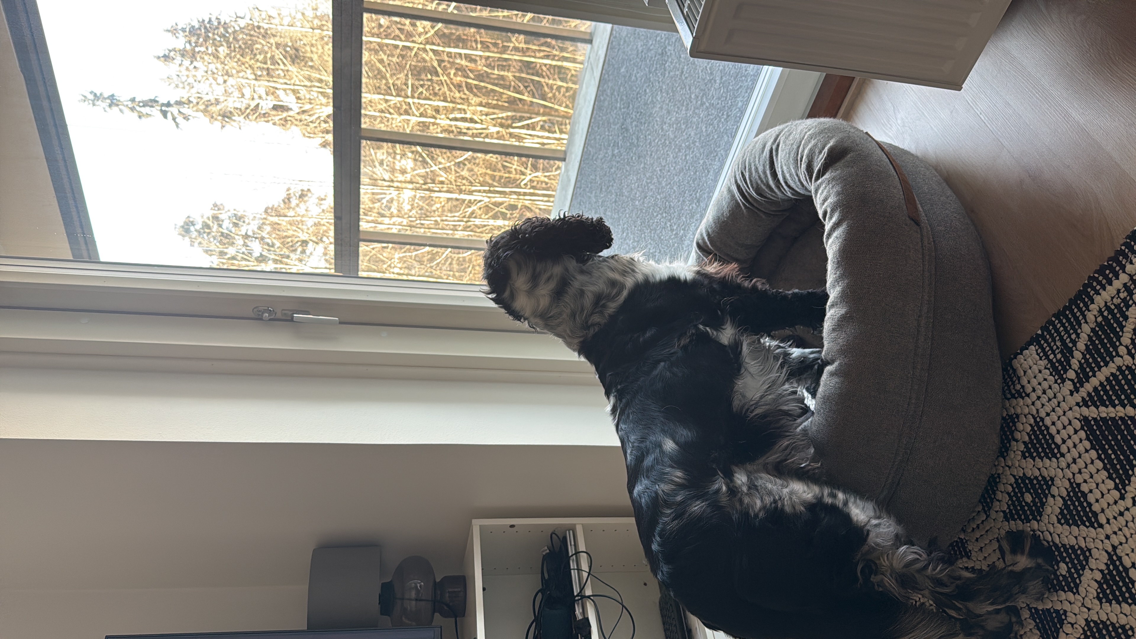image-10