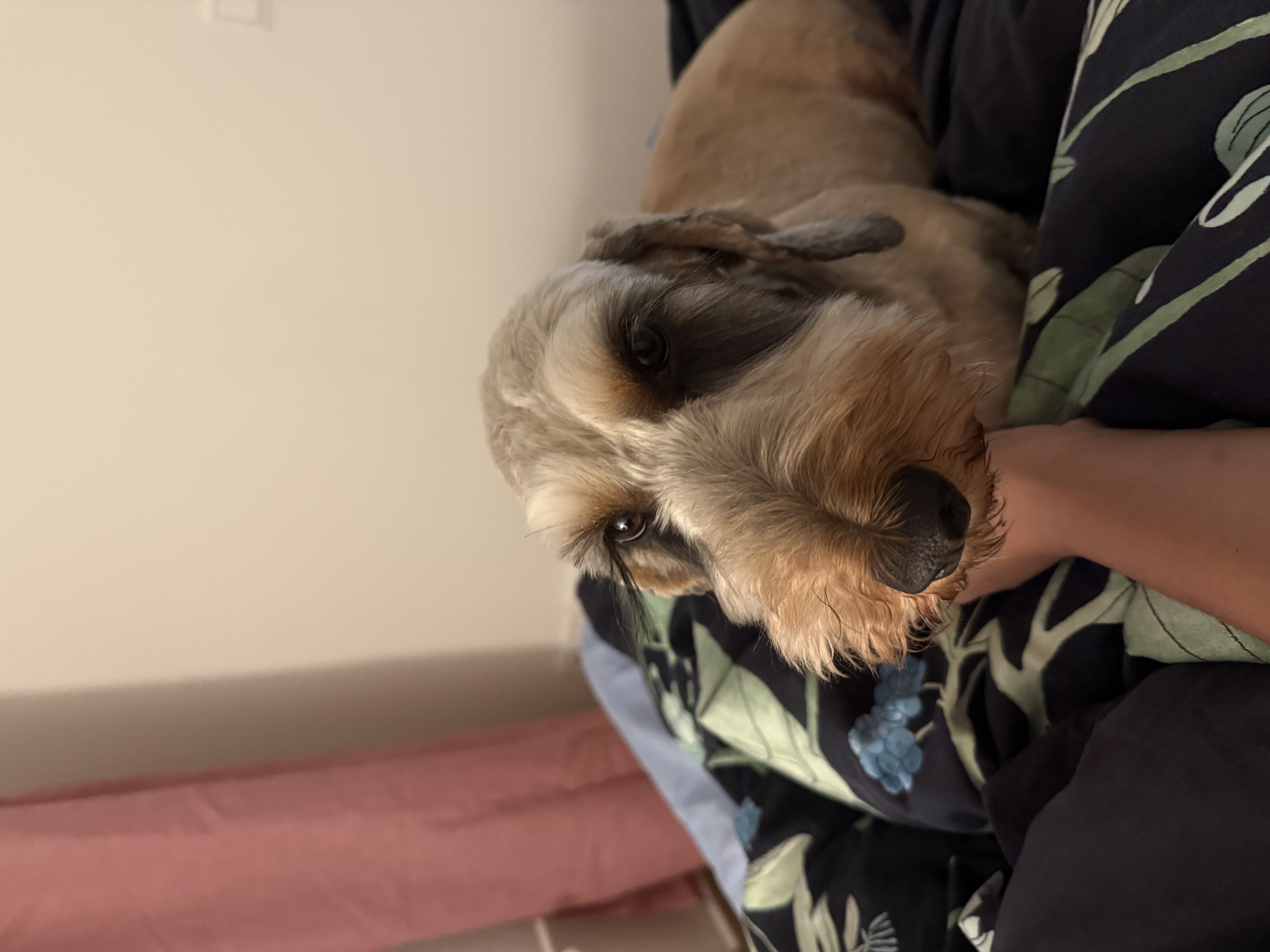 image-7
