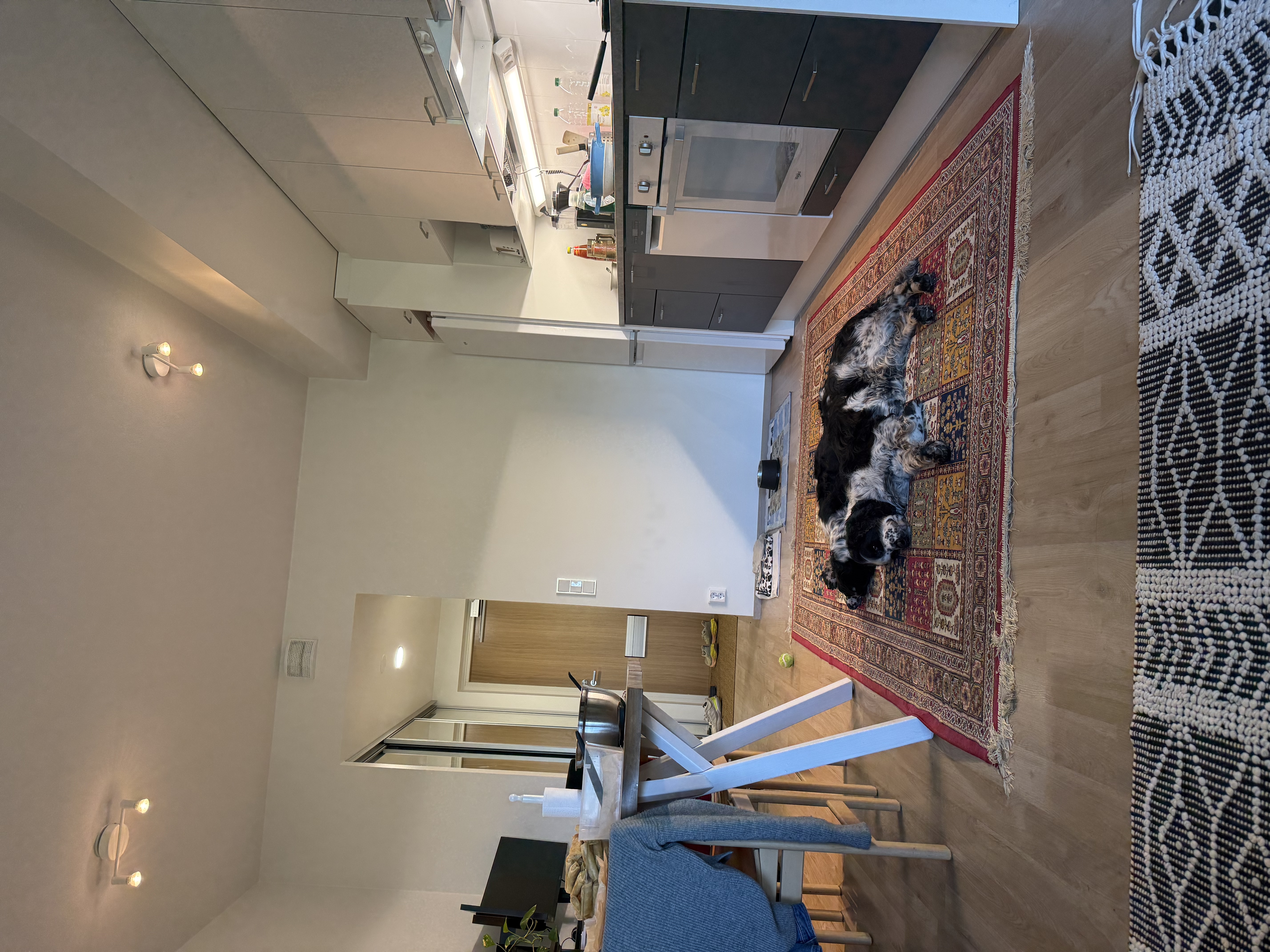 image-13