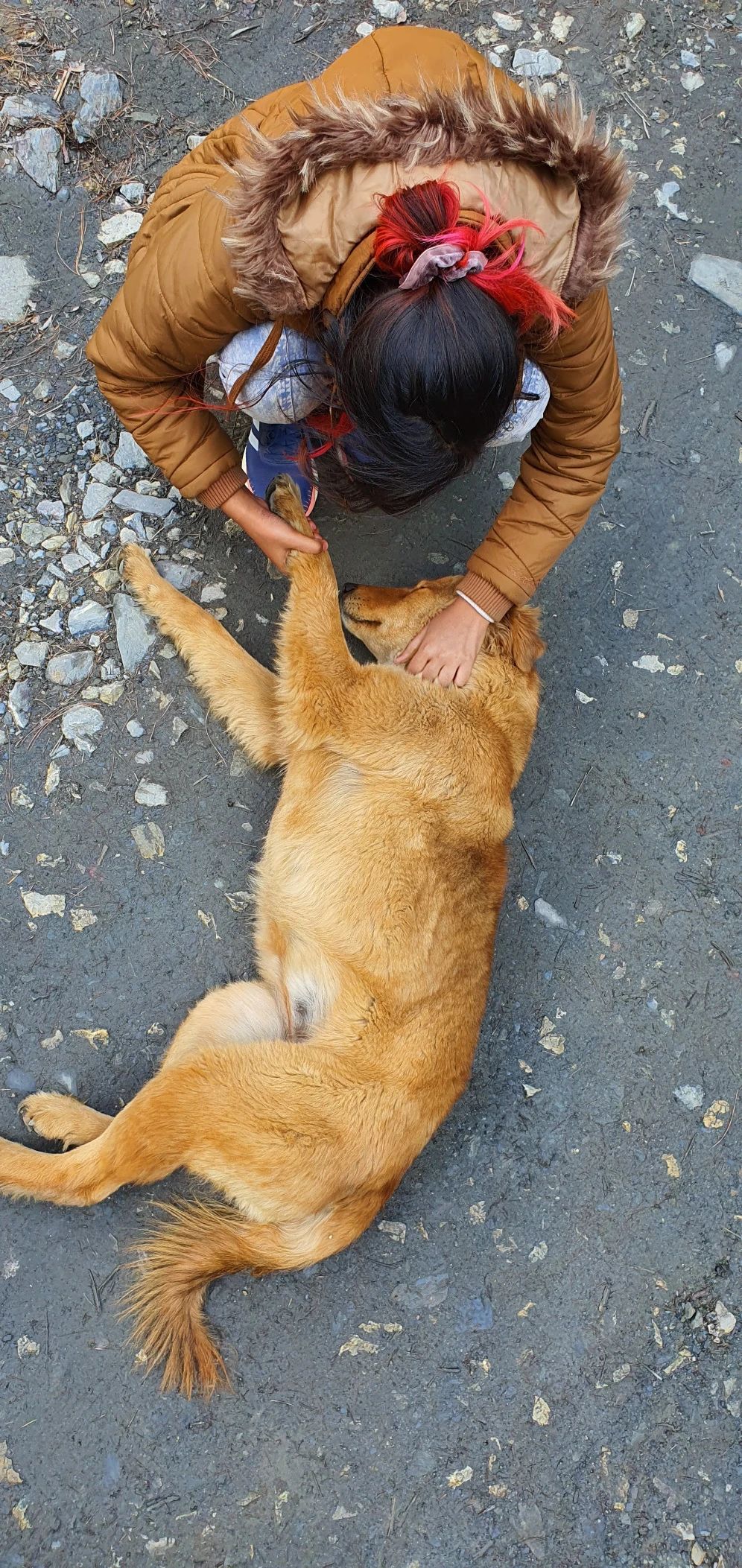 image-7