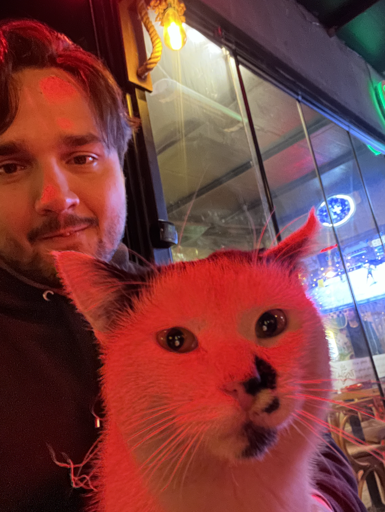 image-7