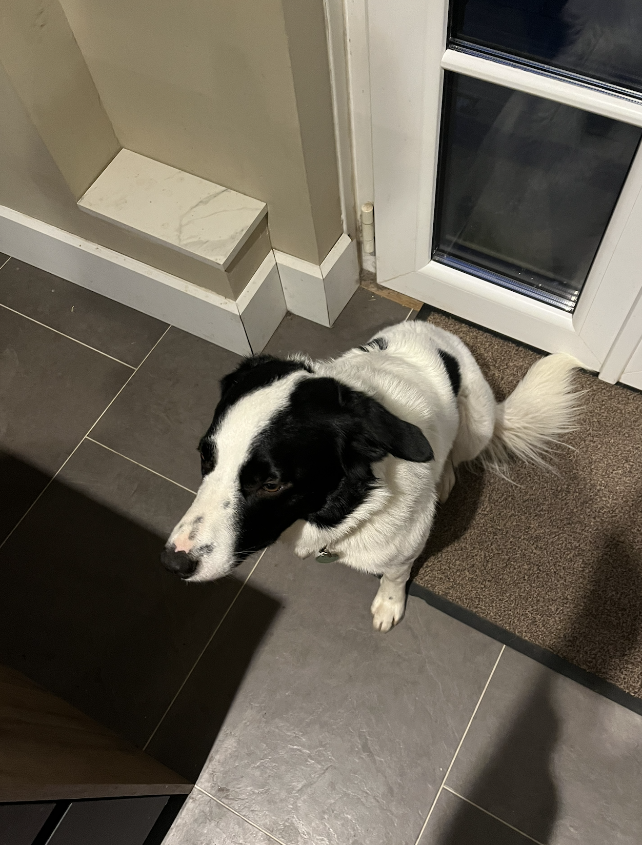 image-10