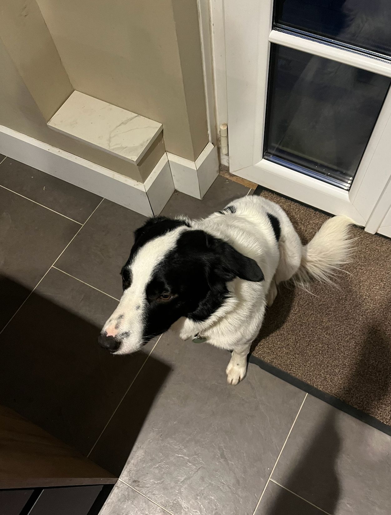image-10