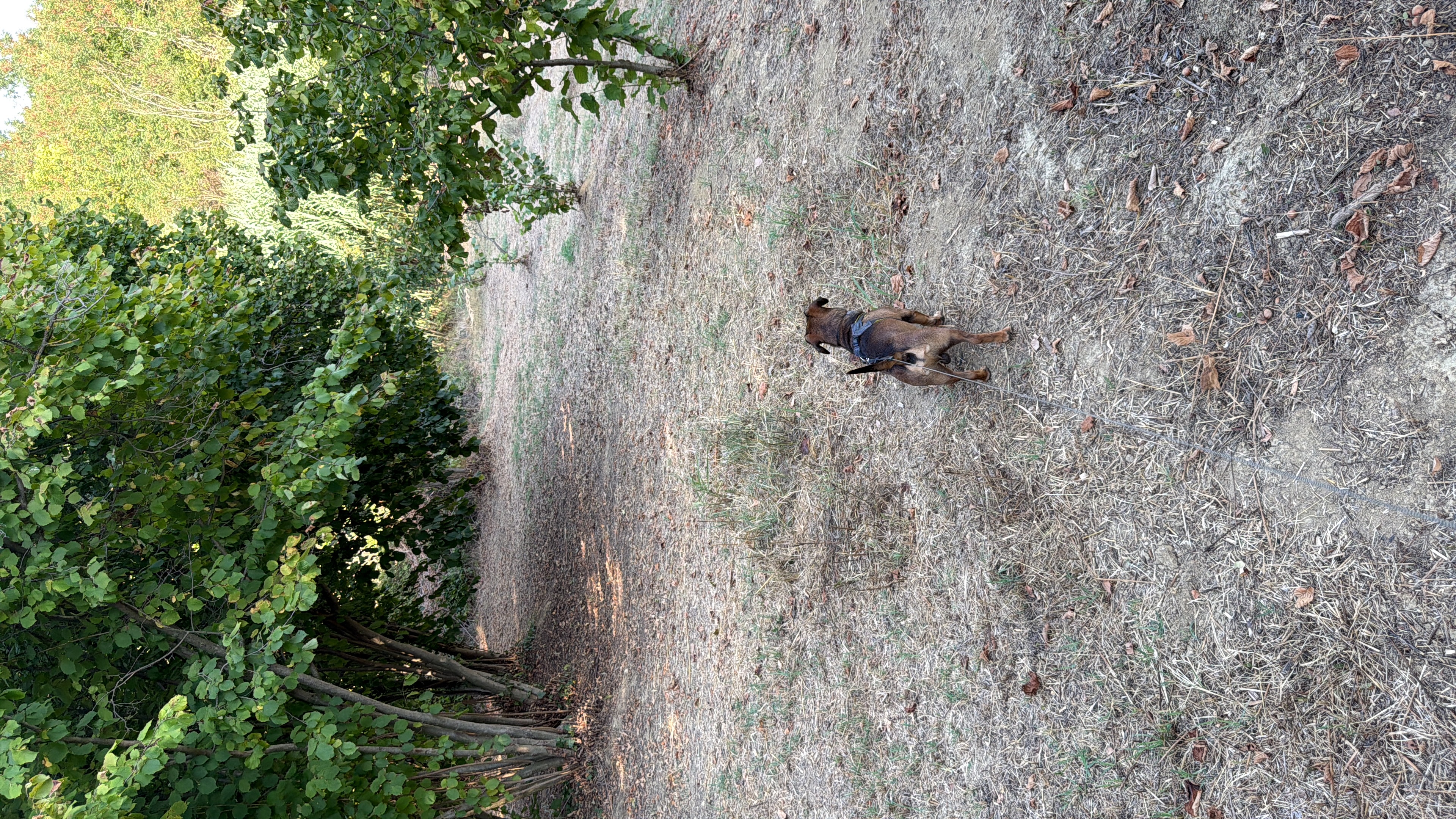 image-13