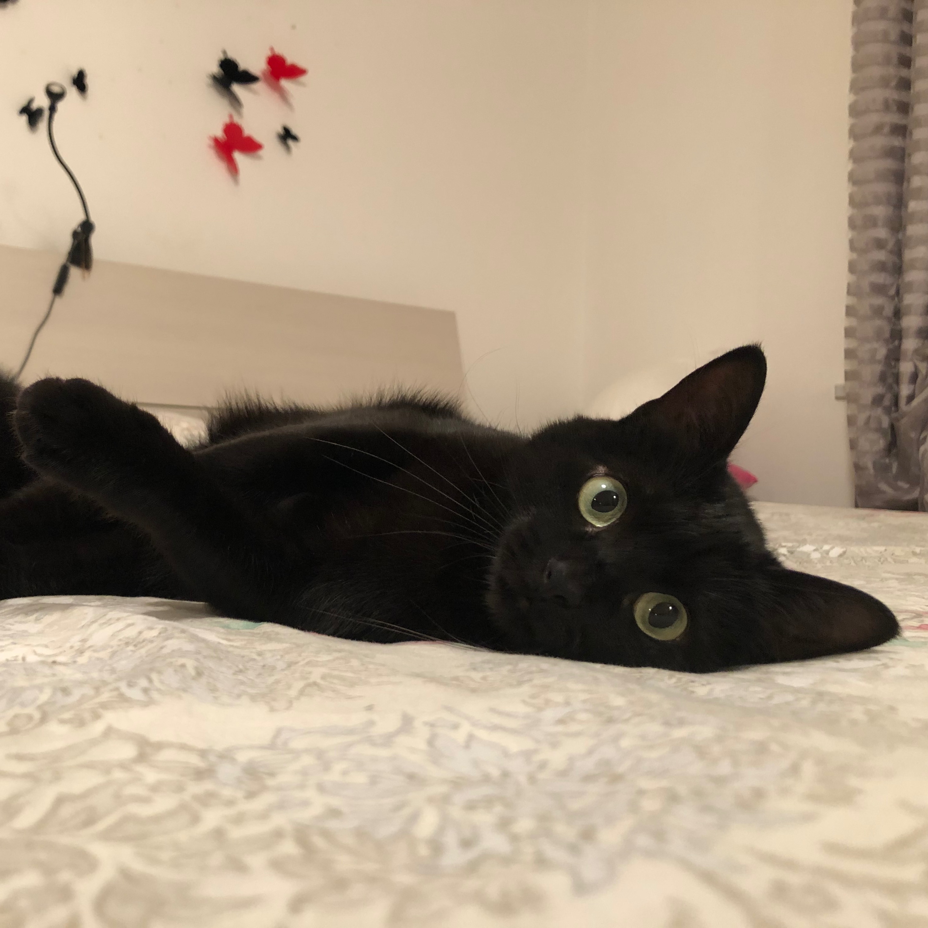 Kira