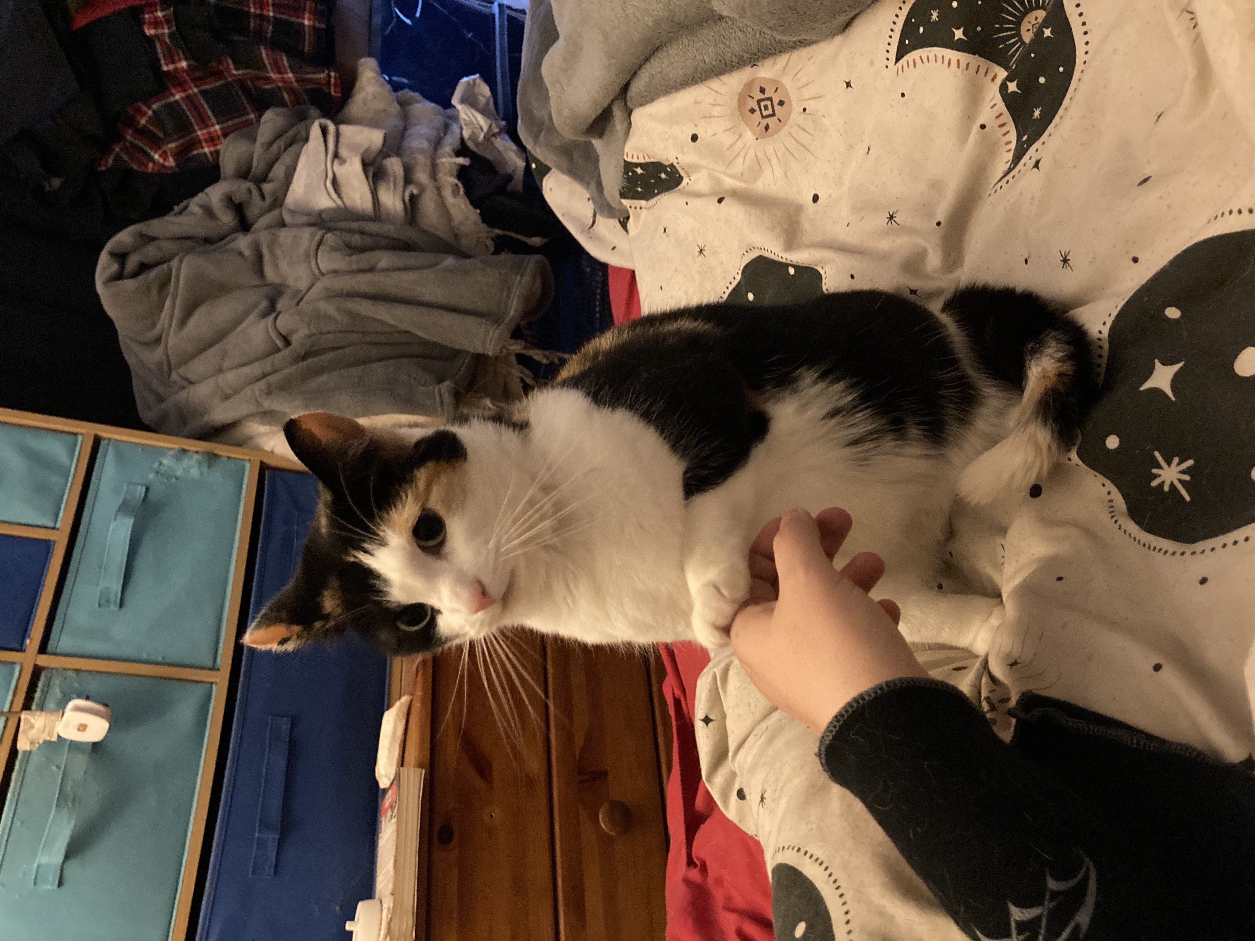 image-8