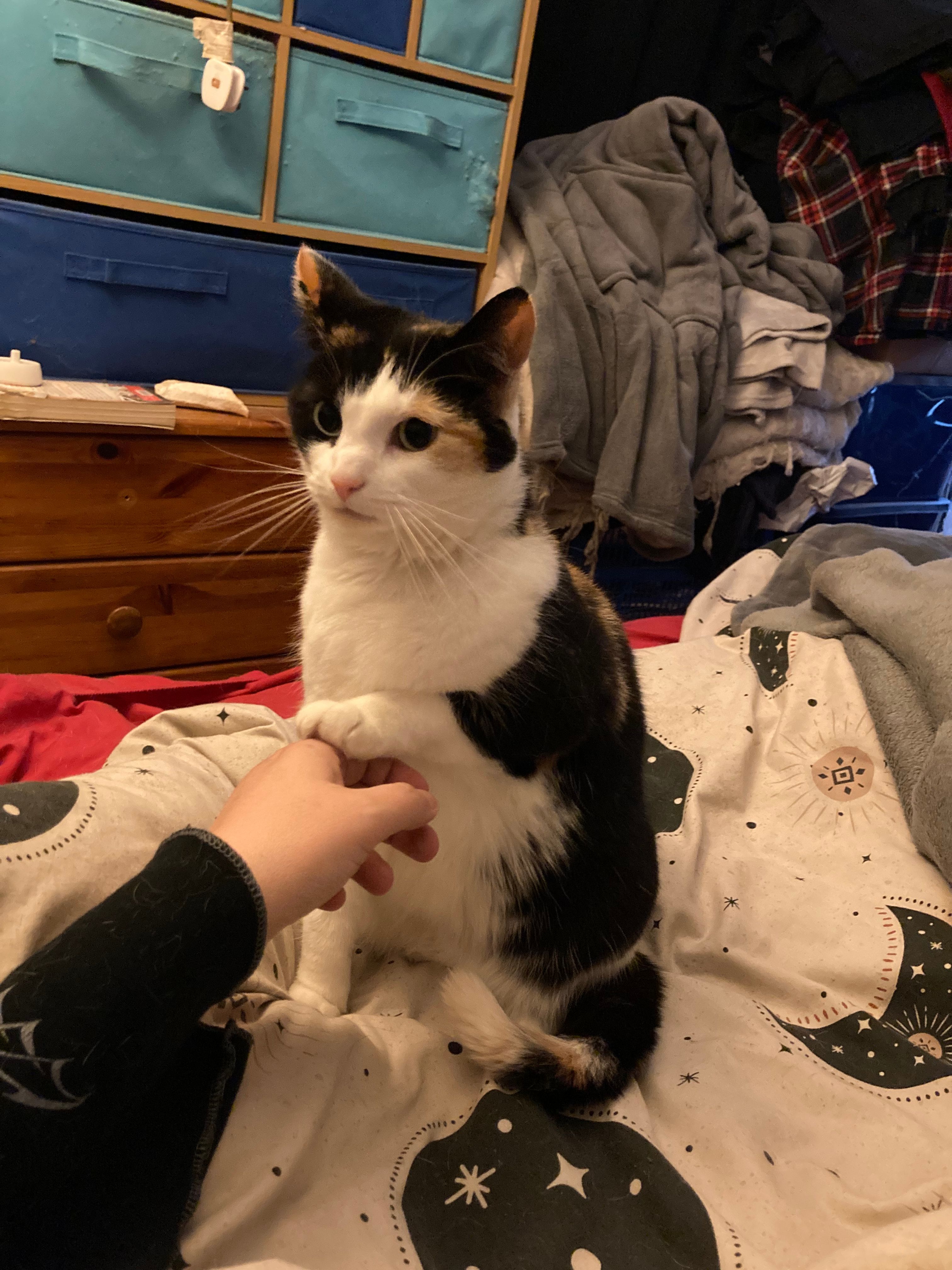 image-8