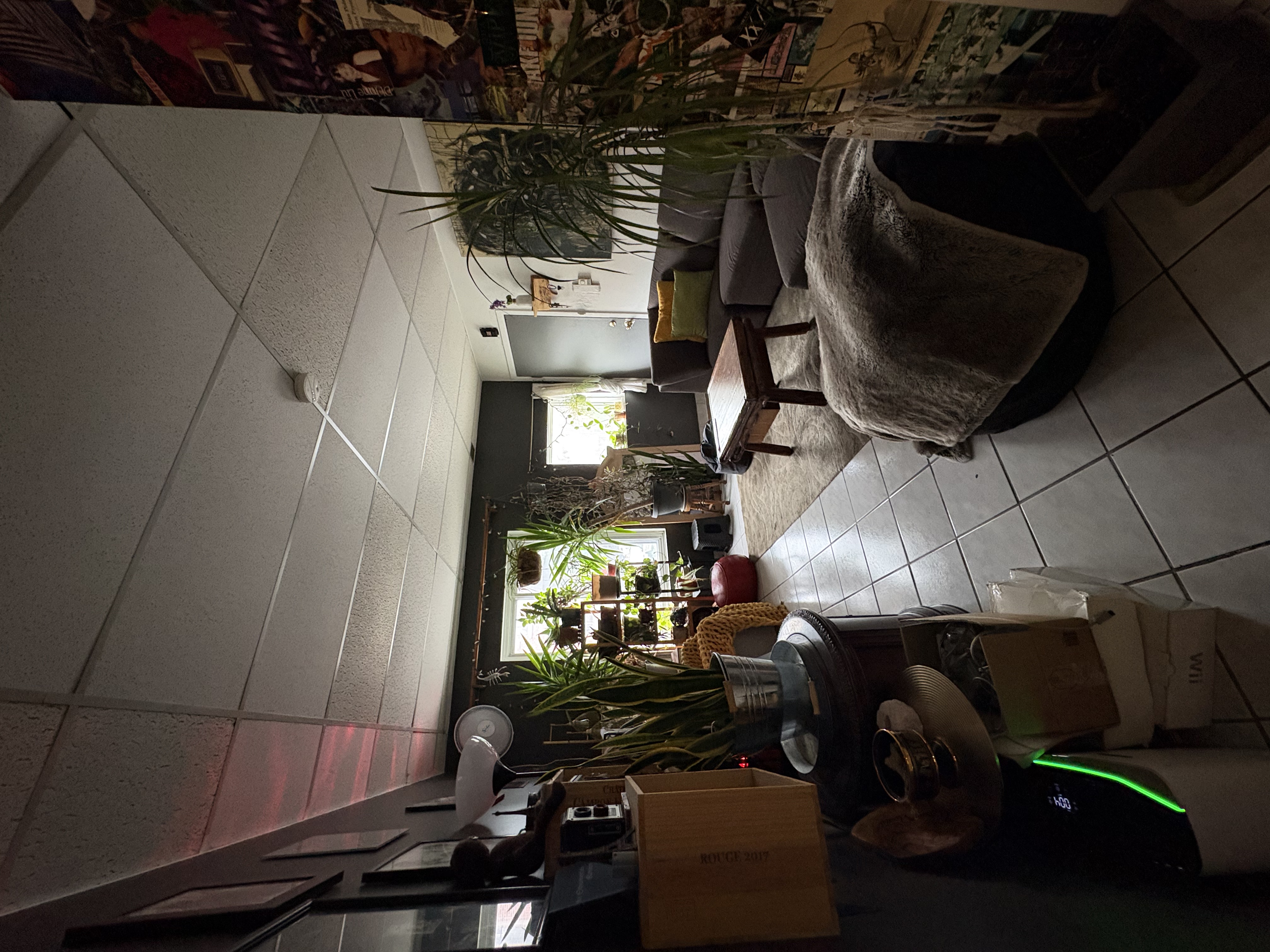 image-7