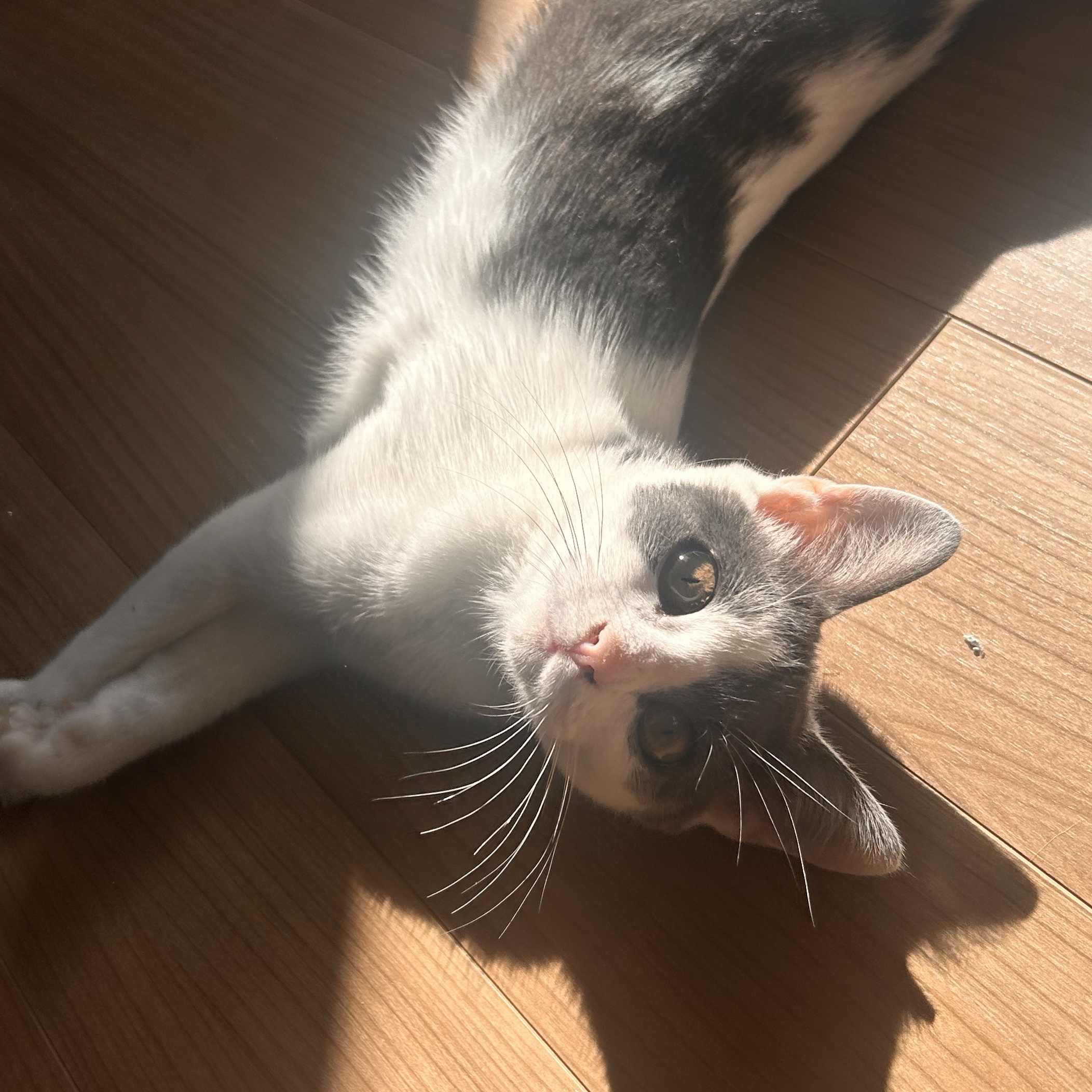 Yuki