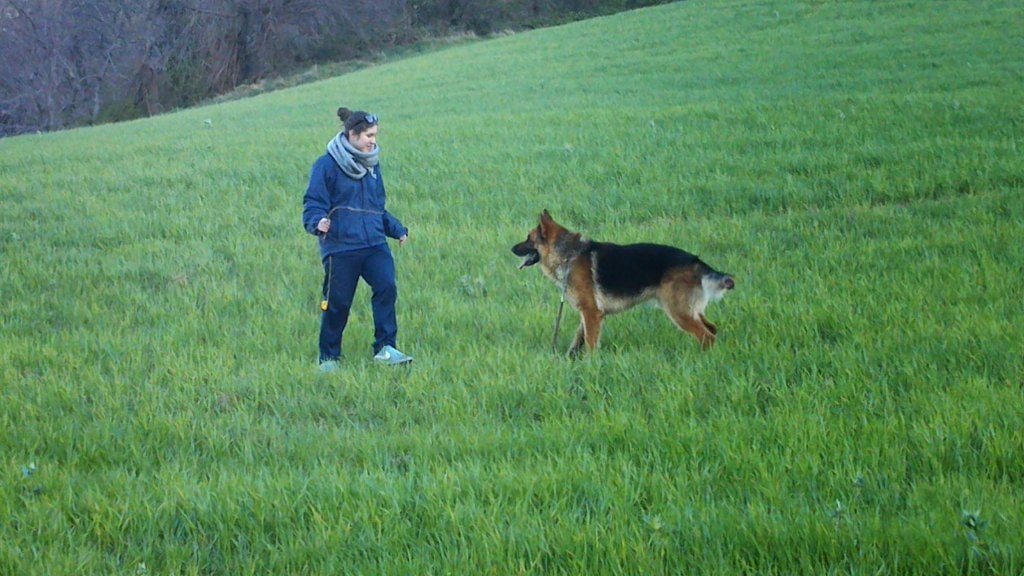 image-0