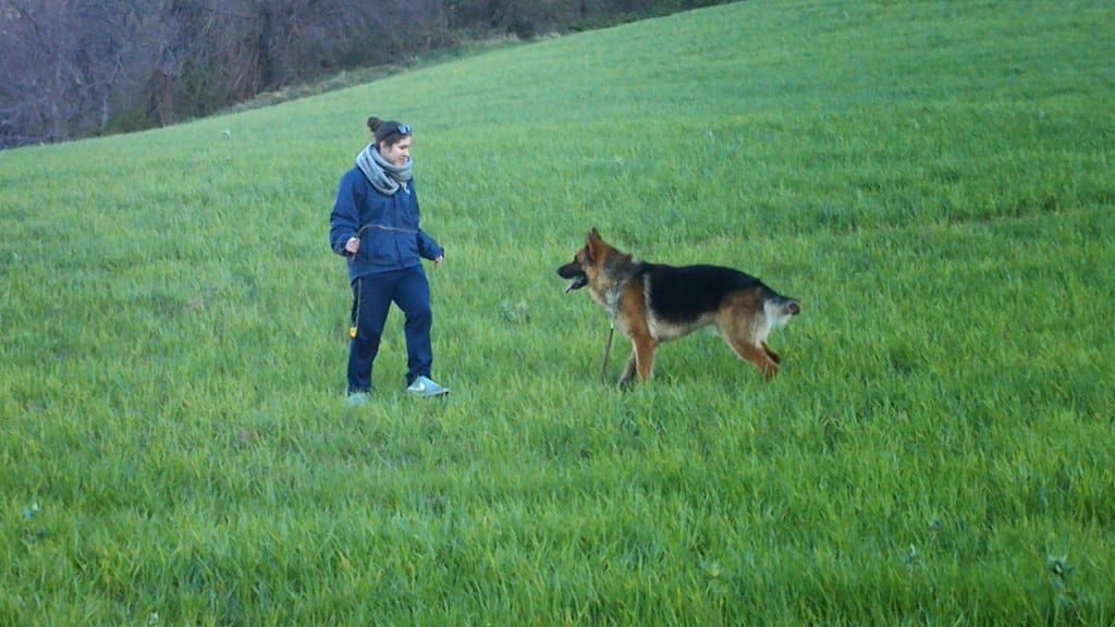 image-0