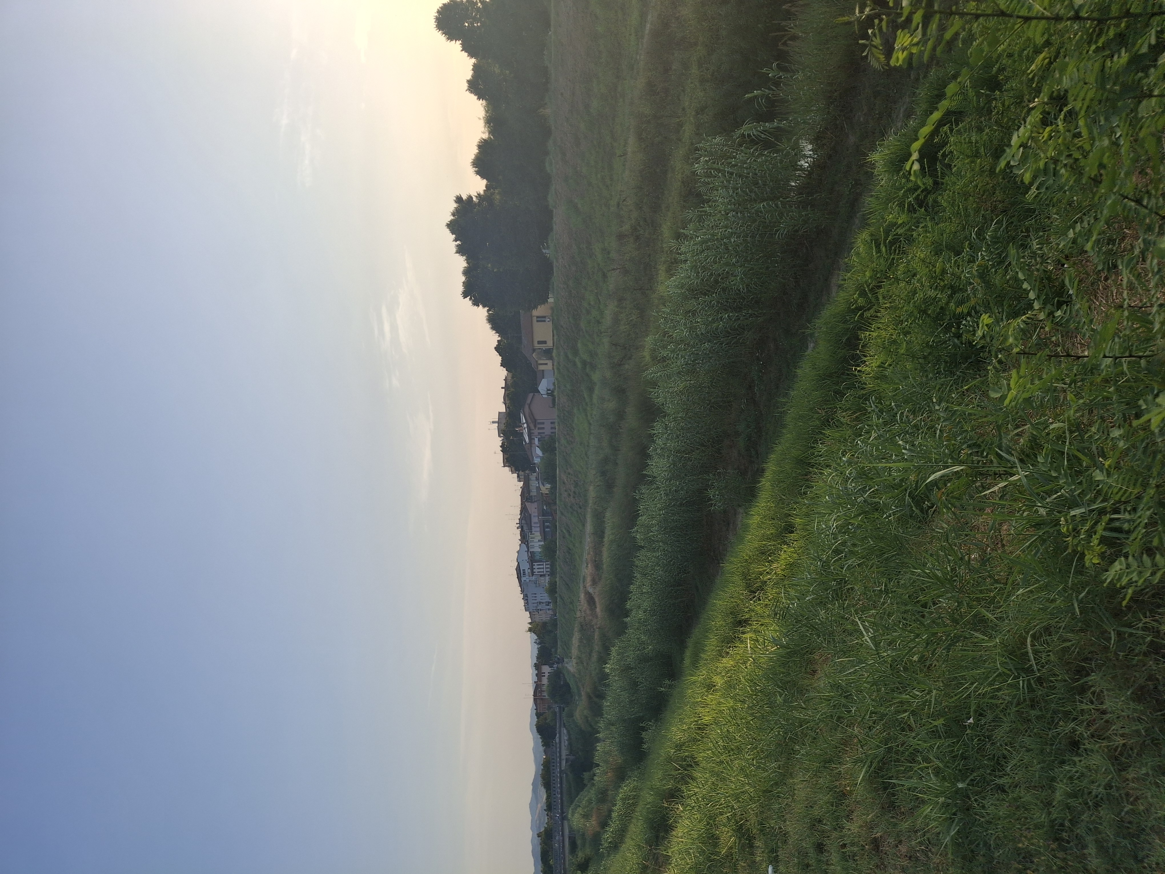image-26