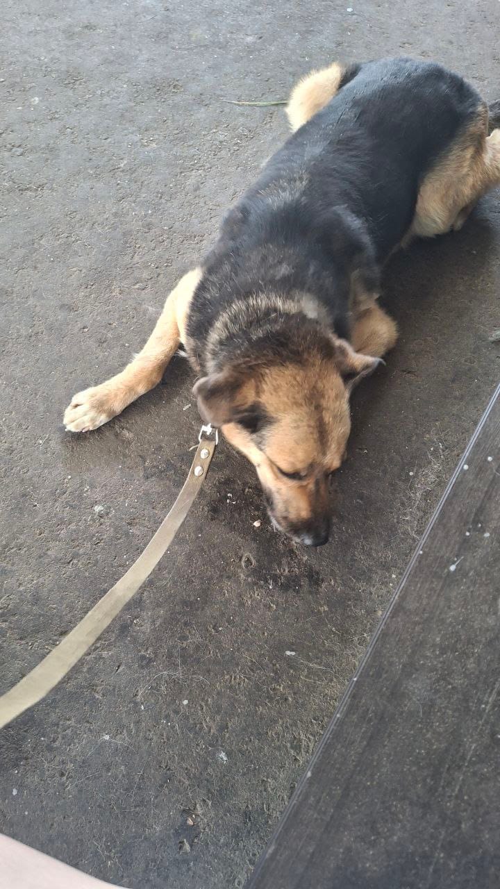 image-9