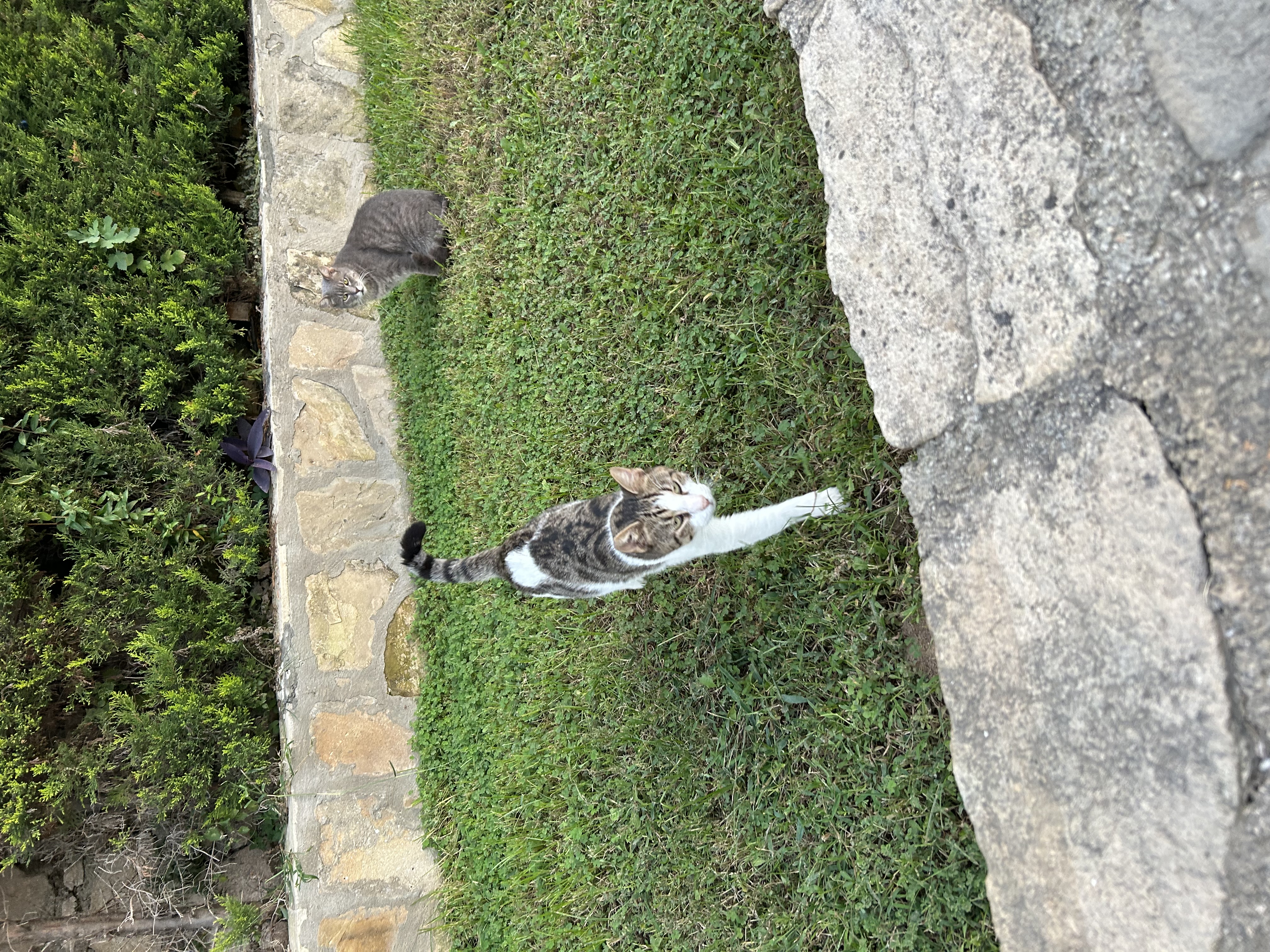 image-11